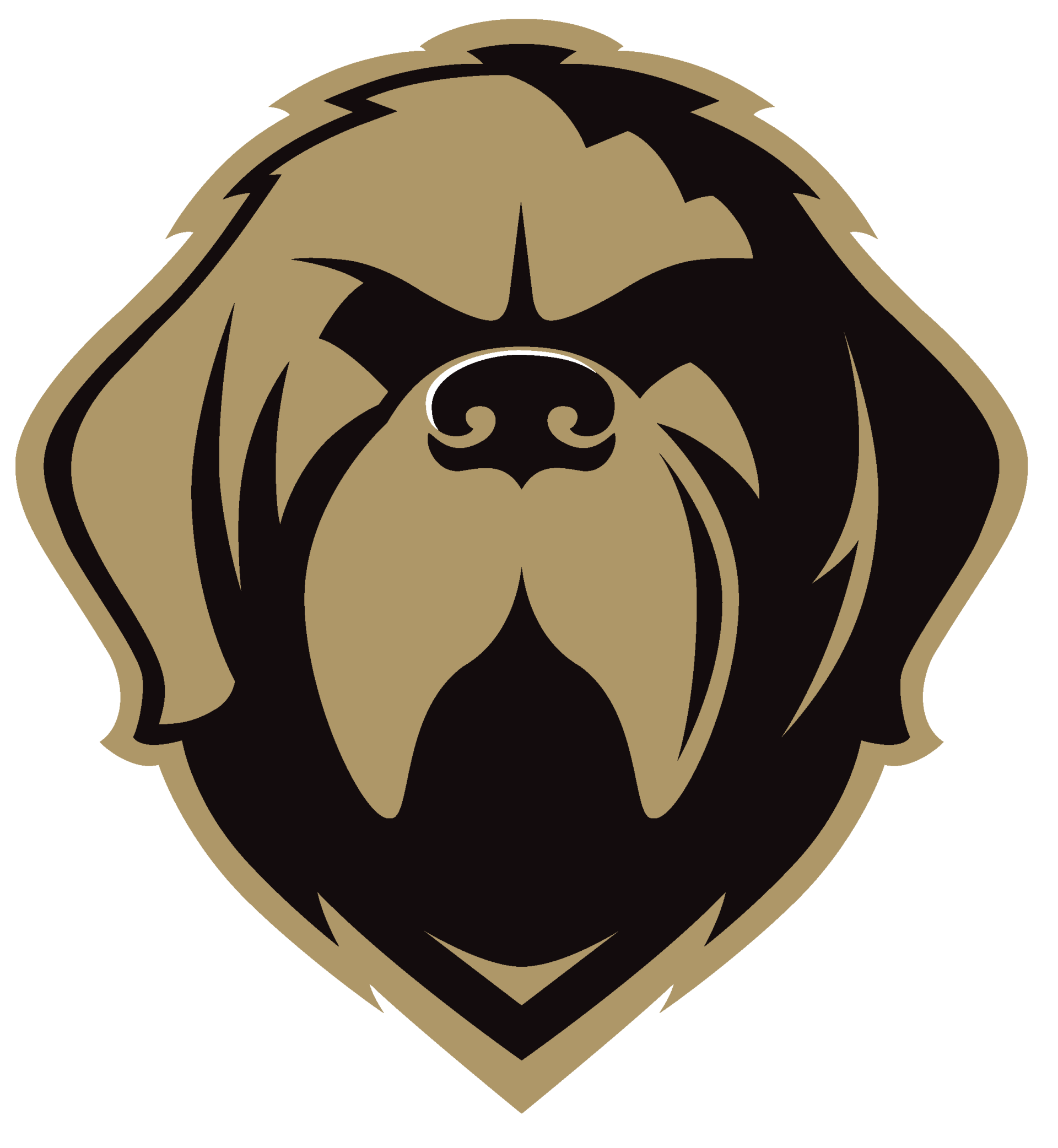 CEBL Shop CEBL Online Merchandise Store Canadian Elite Basketball