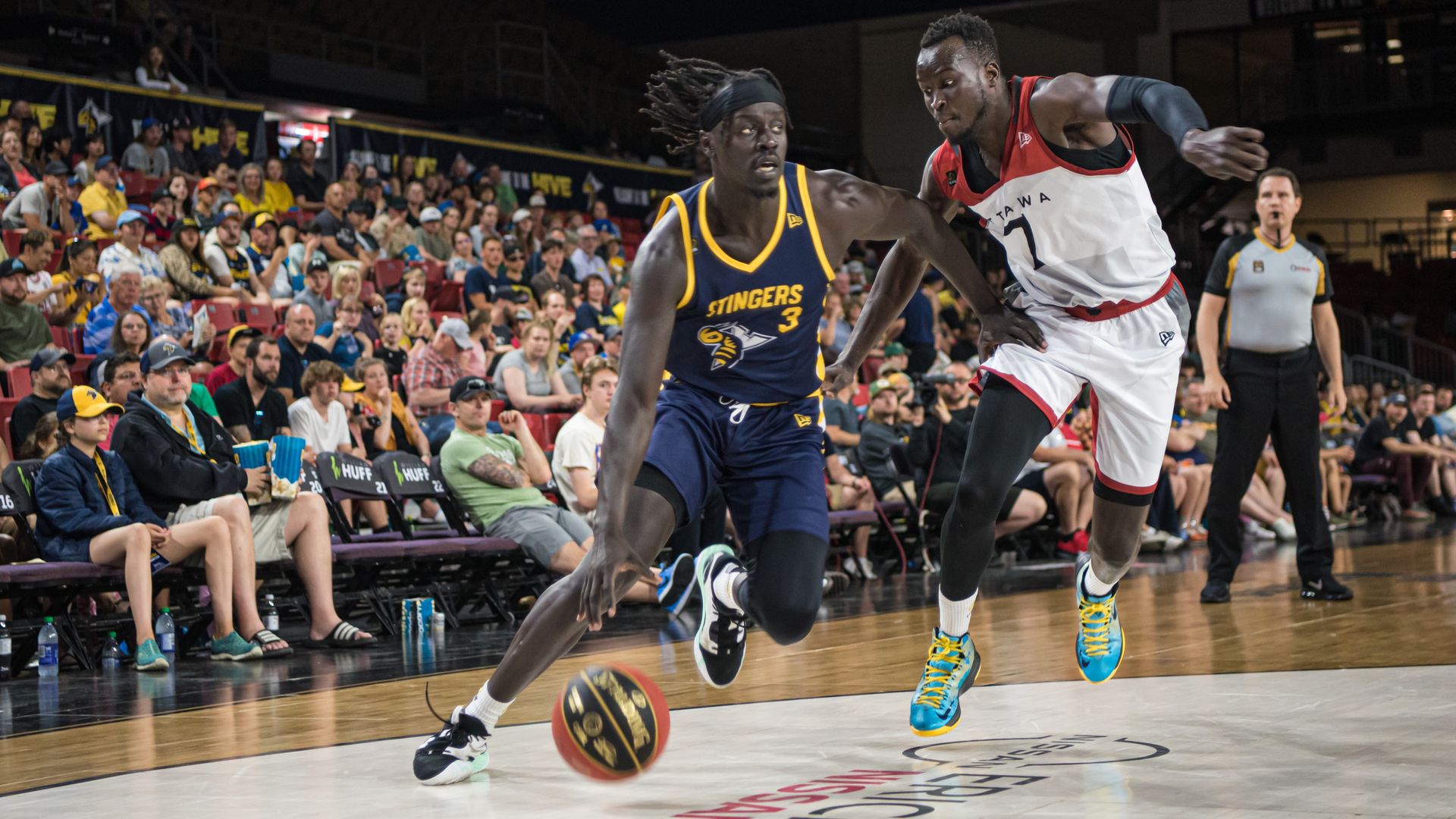 Local Edmonton Group Buys Edmonton Stingers Basketball Team