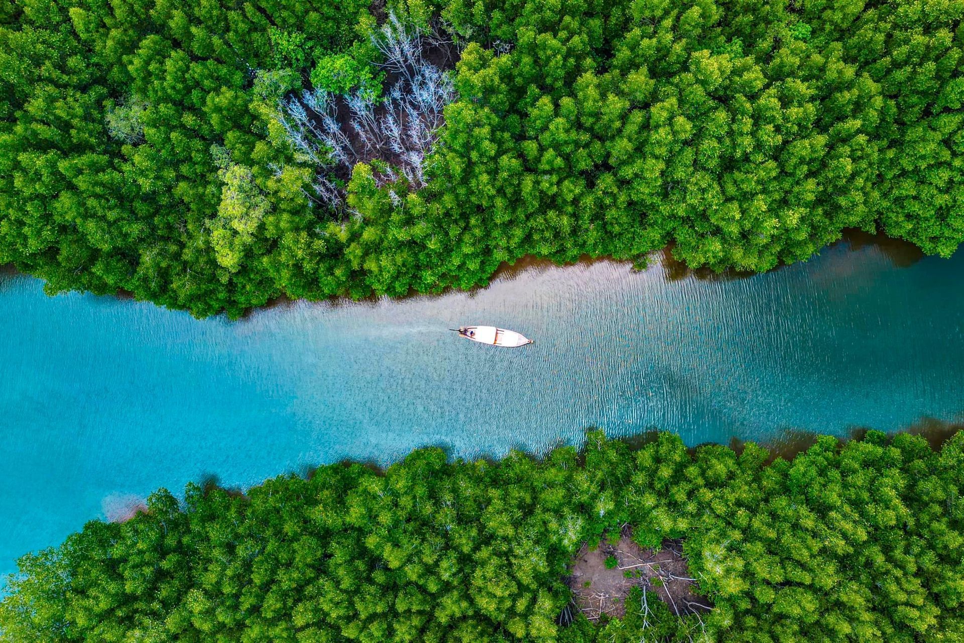 An aerial view of a boat in the middle of a river surrounded by trees.