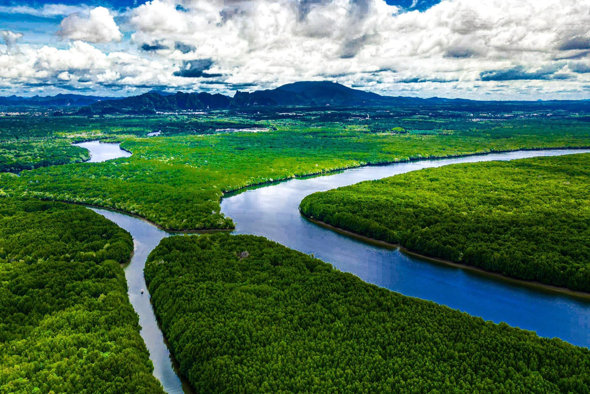 An aerial view of a river running through a lush green forest.