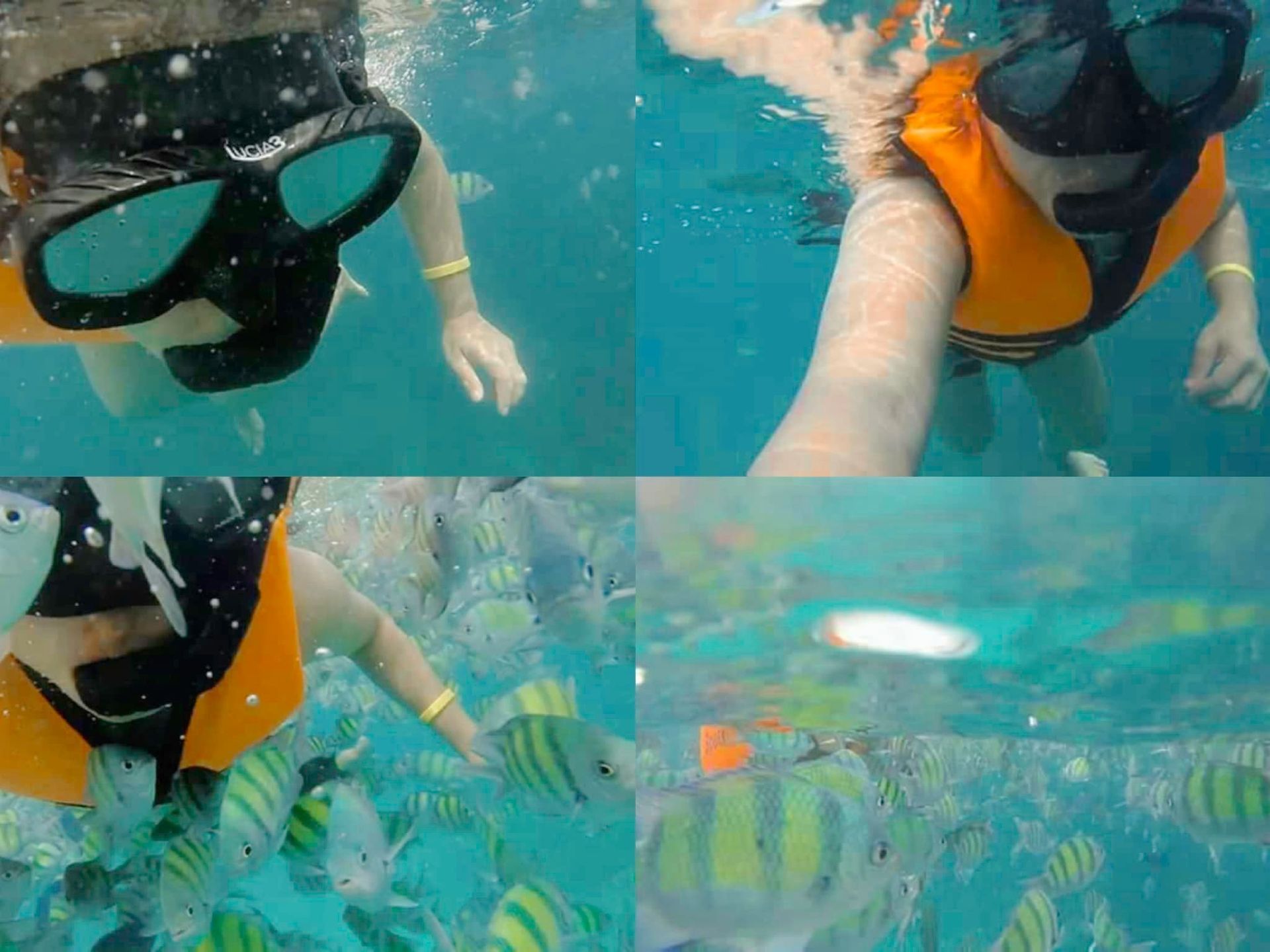 A person is swimming in the ocean surrounded by fish.