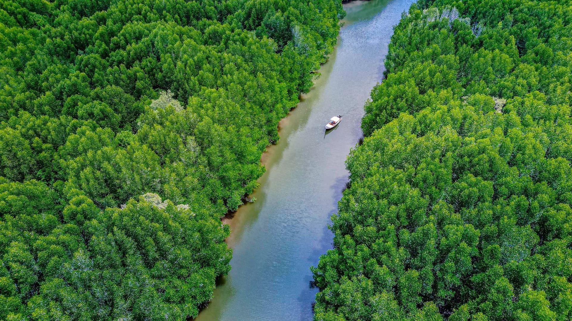 A boat is floating down a river surrounded by trees.