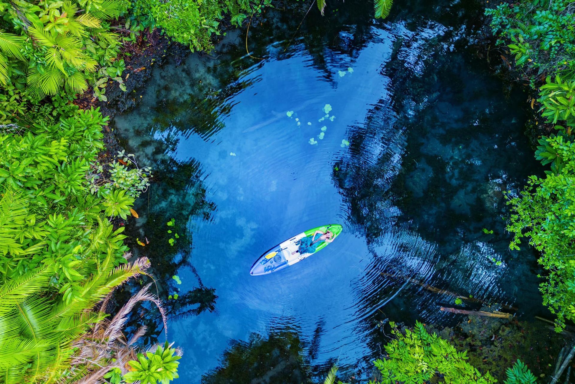 An aerial view of a person in a kayak in a river surrounded by trees.