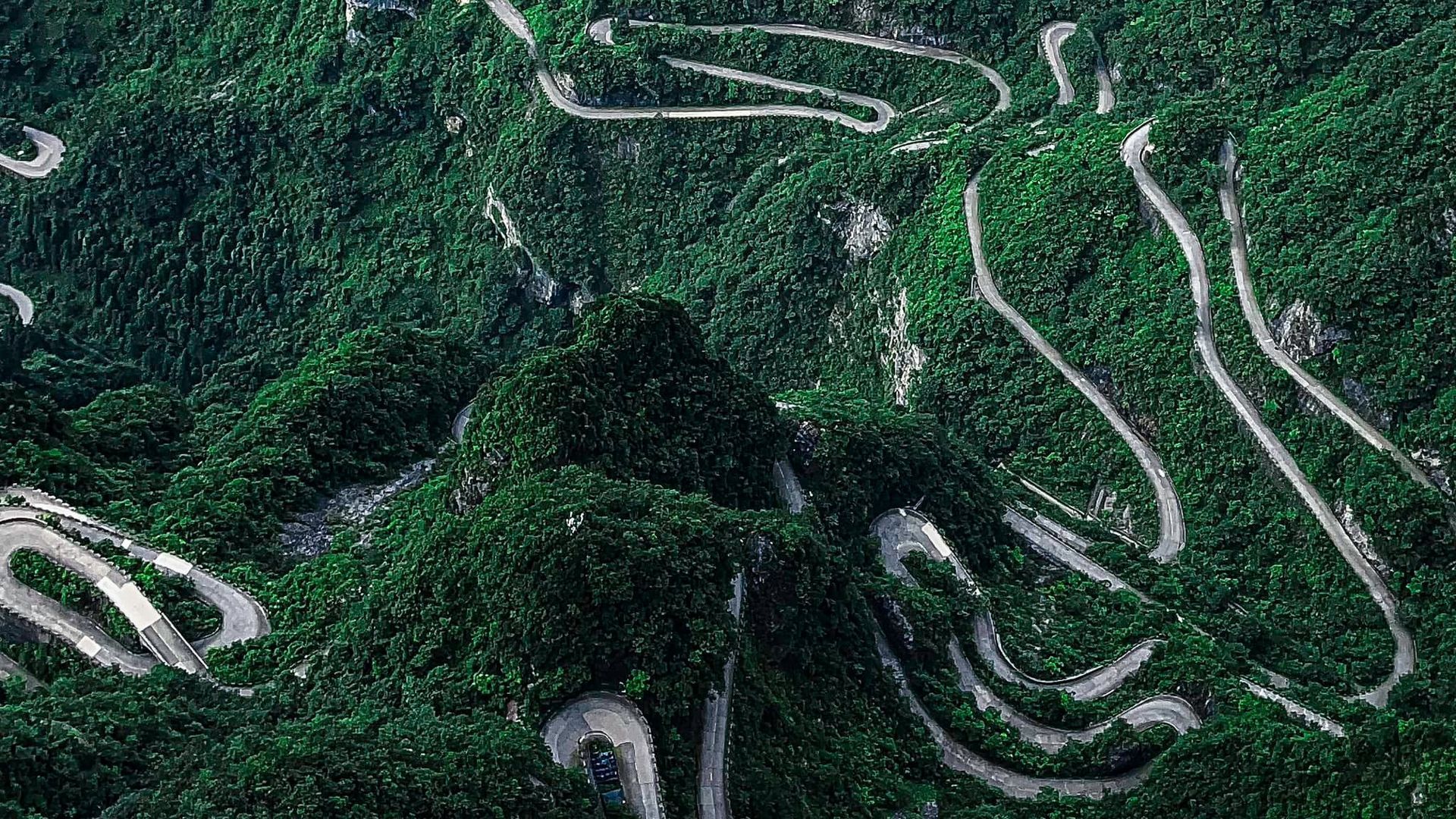 An aerial view of a winding road surrounded by trees.