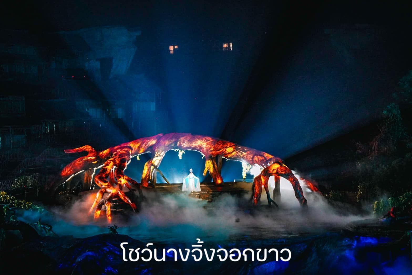A crab is being projected on a stage in a dark room.