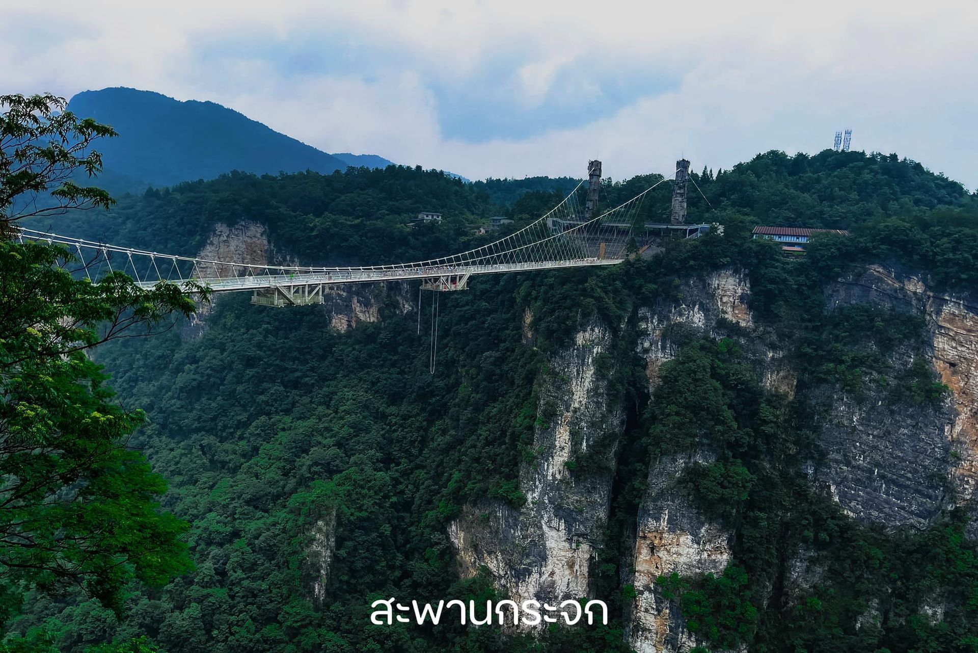 A bridge is going over a cliff in the middle of a forest.