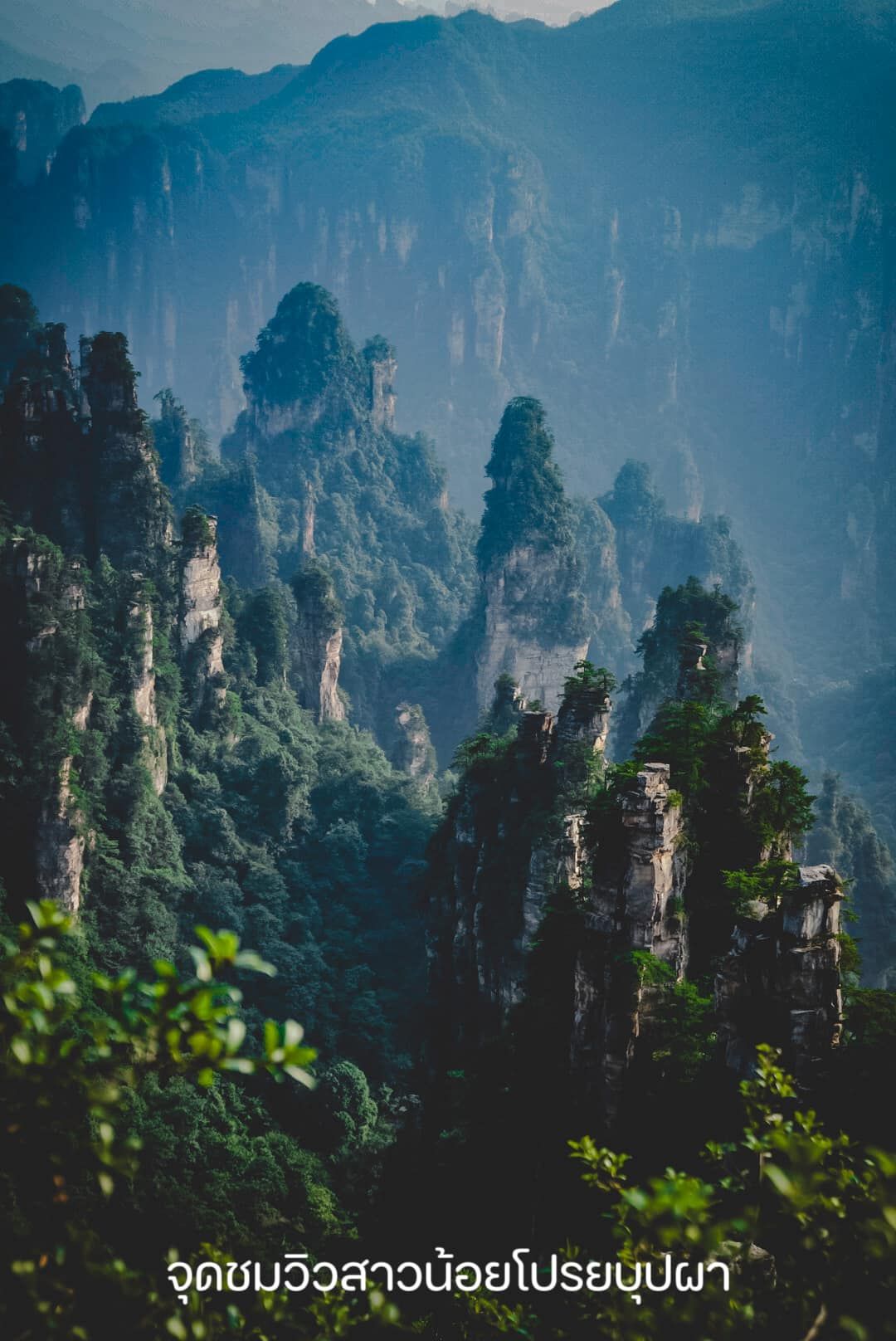 A mountain covered in trees and rocks with a blue sky in the background.