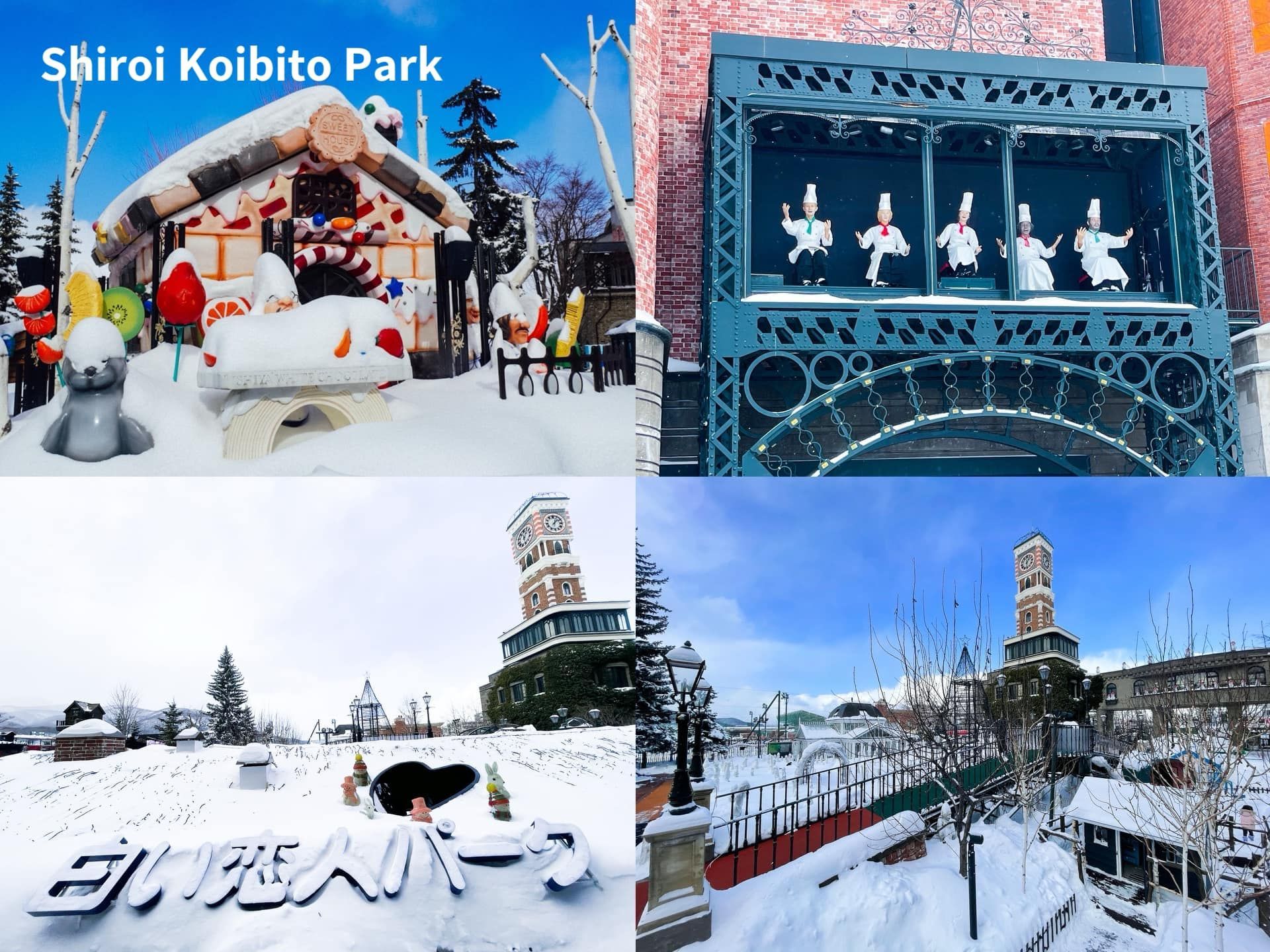 A collage of four photos of shiroi koibito park