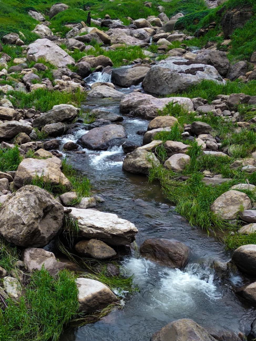 A stream running through a rocky area surrounded by rocks and grass.