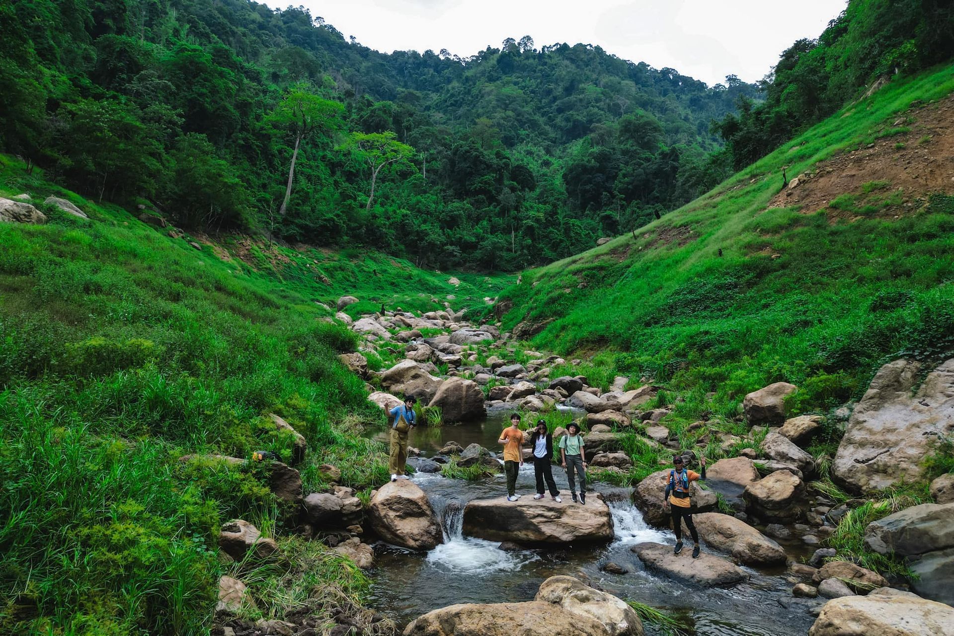 A group of people are standing on rocks next to a river in the woods.