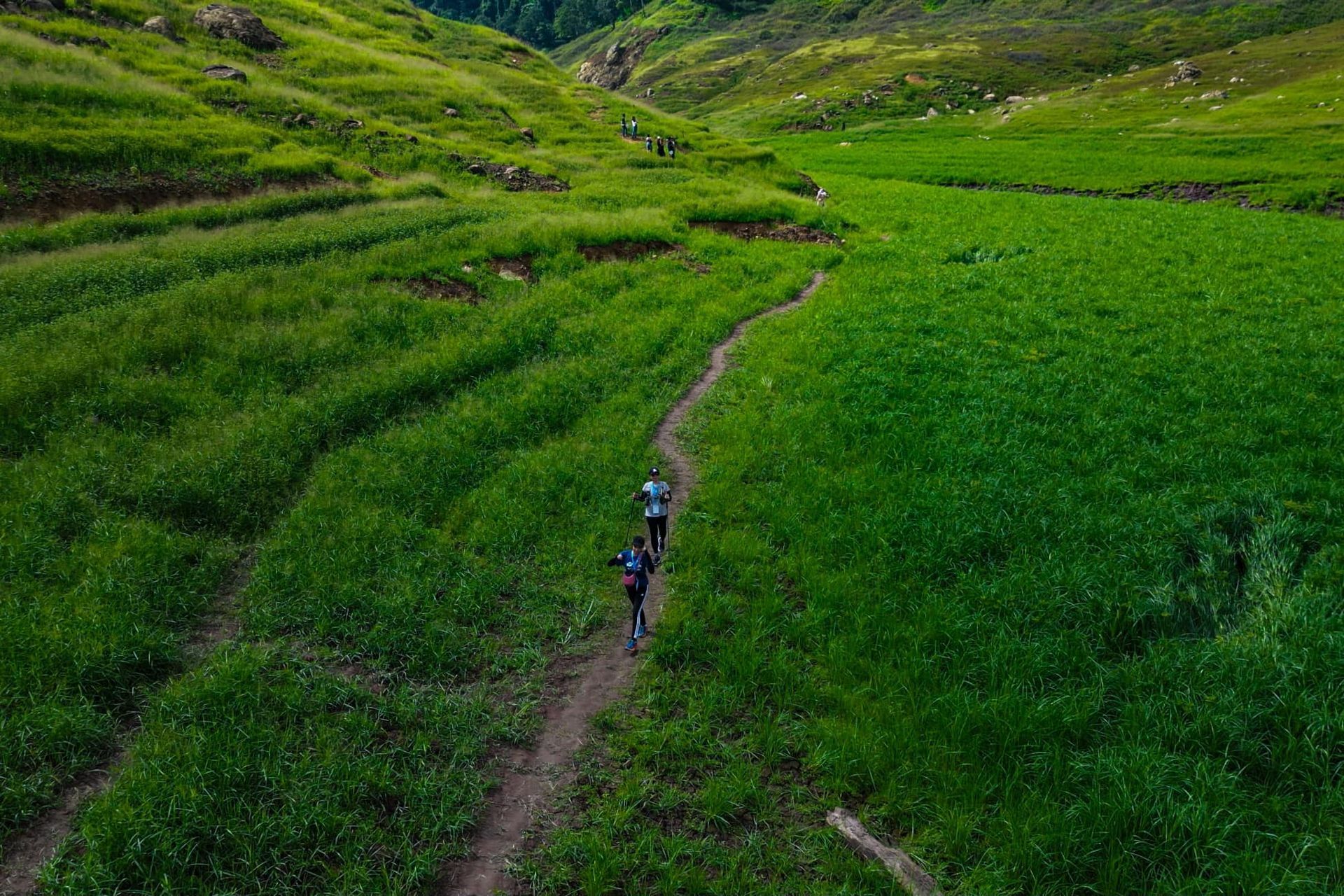 A group of people are walking down a dirt path through a green field.