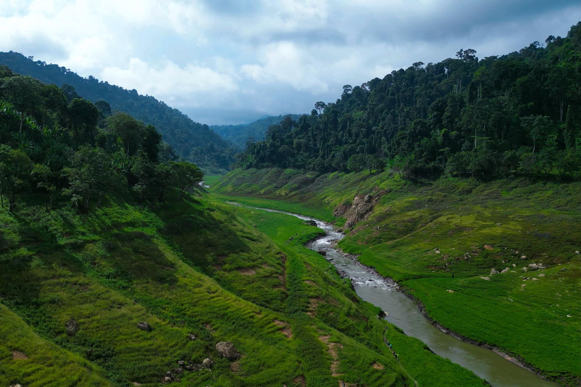 An aerial view of a river running through a lush green valley surrounded by trees.