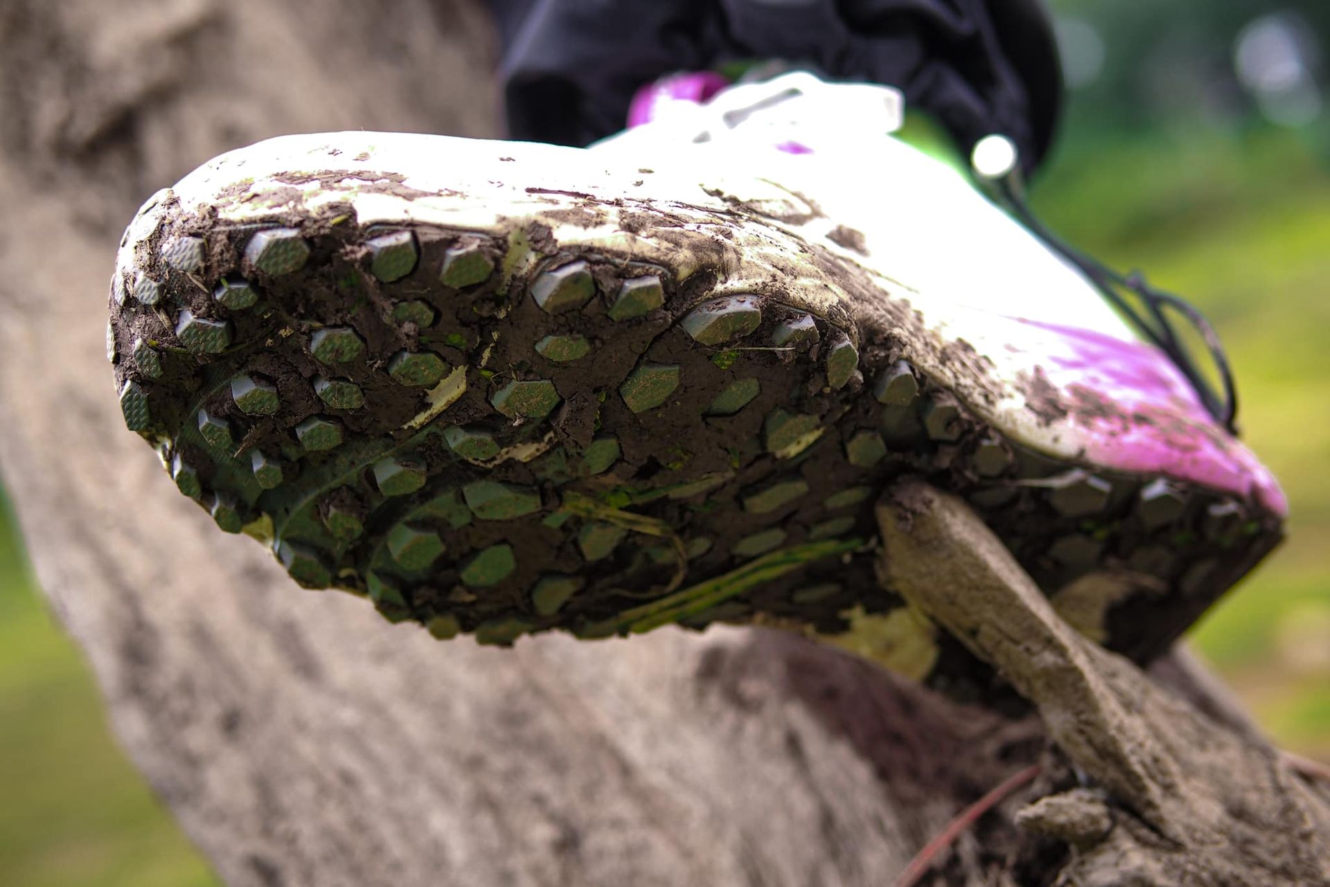 A person wearing a pair of muddy shoes is standing on a tree branch.