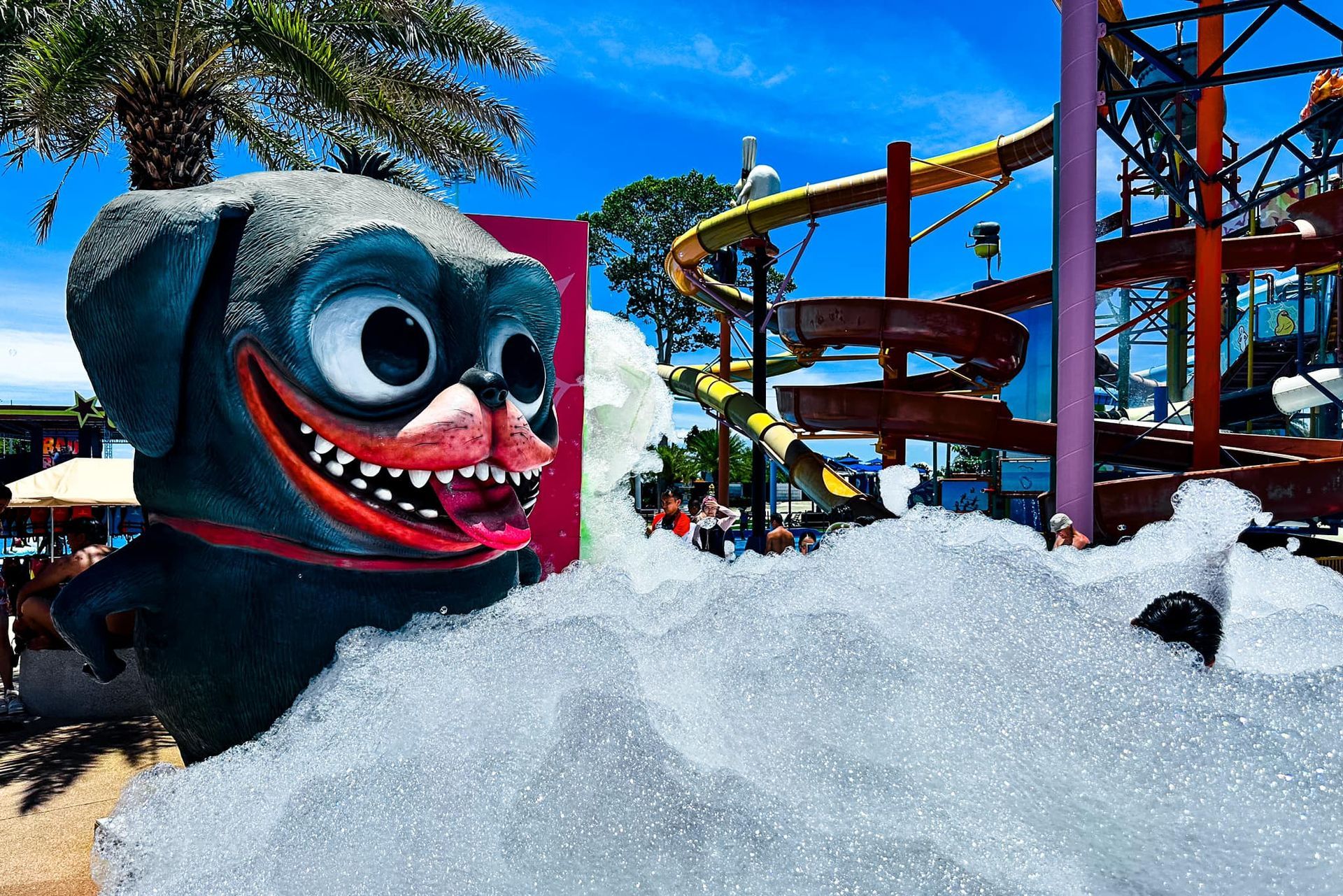 A statue of a dog is surrounded by foam at a water park