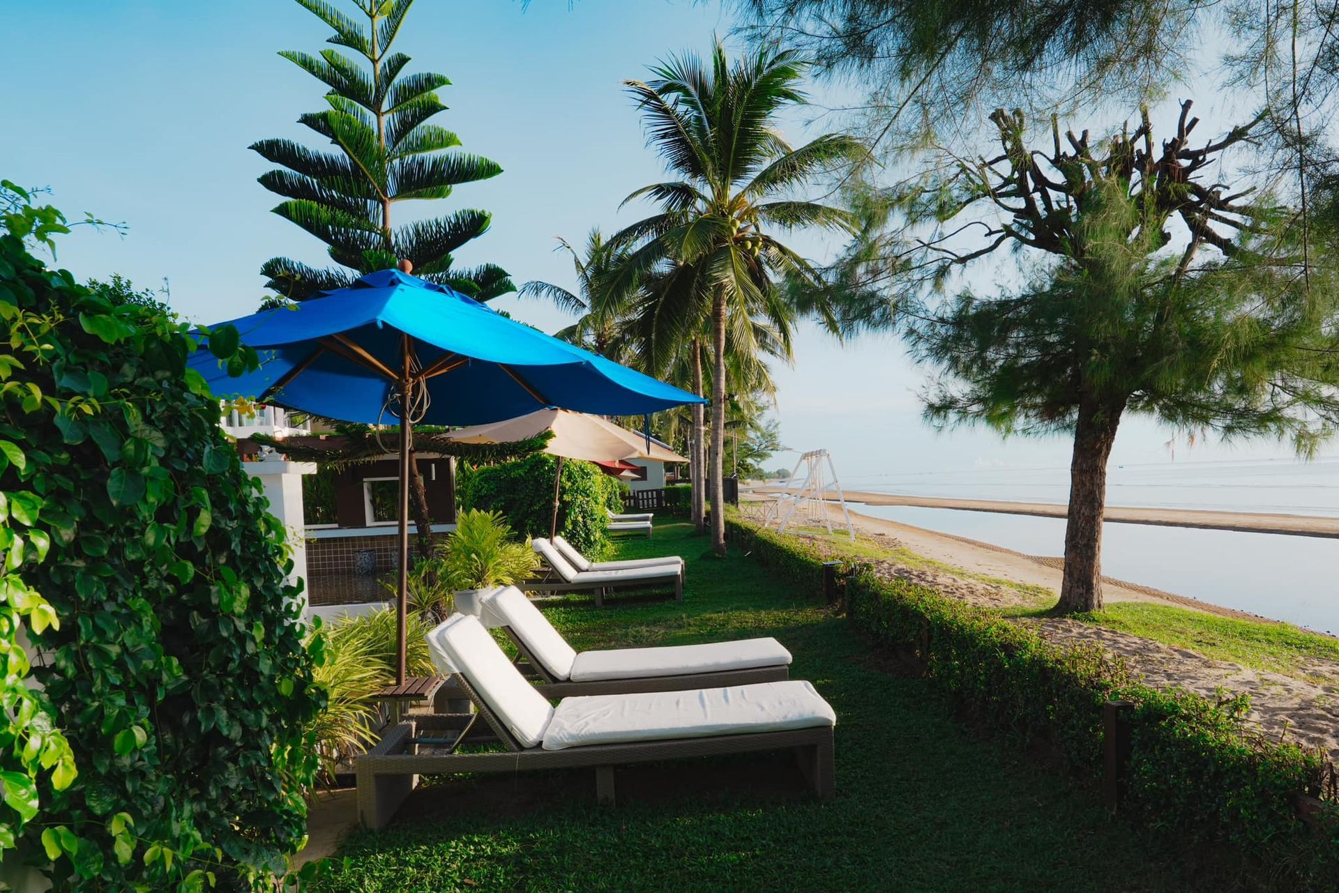 A row of lounge chairs under an umbrella next to a body of water