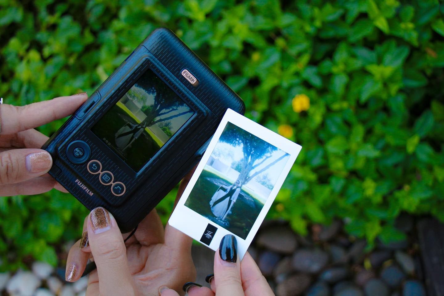 A person is holding a polaroid camera and a polaroid picture.