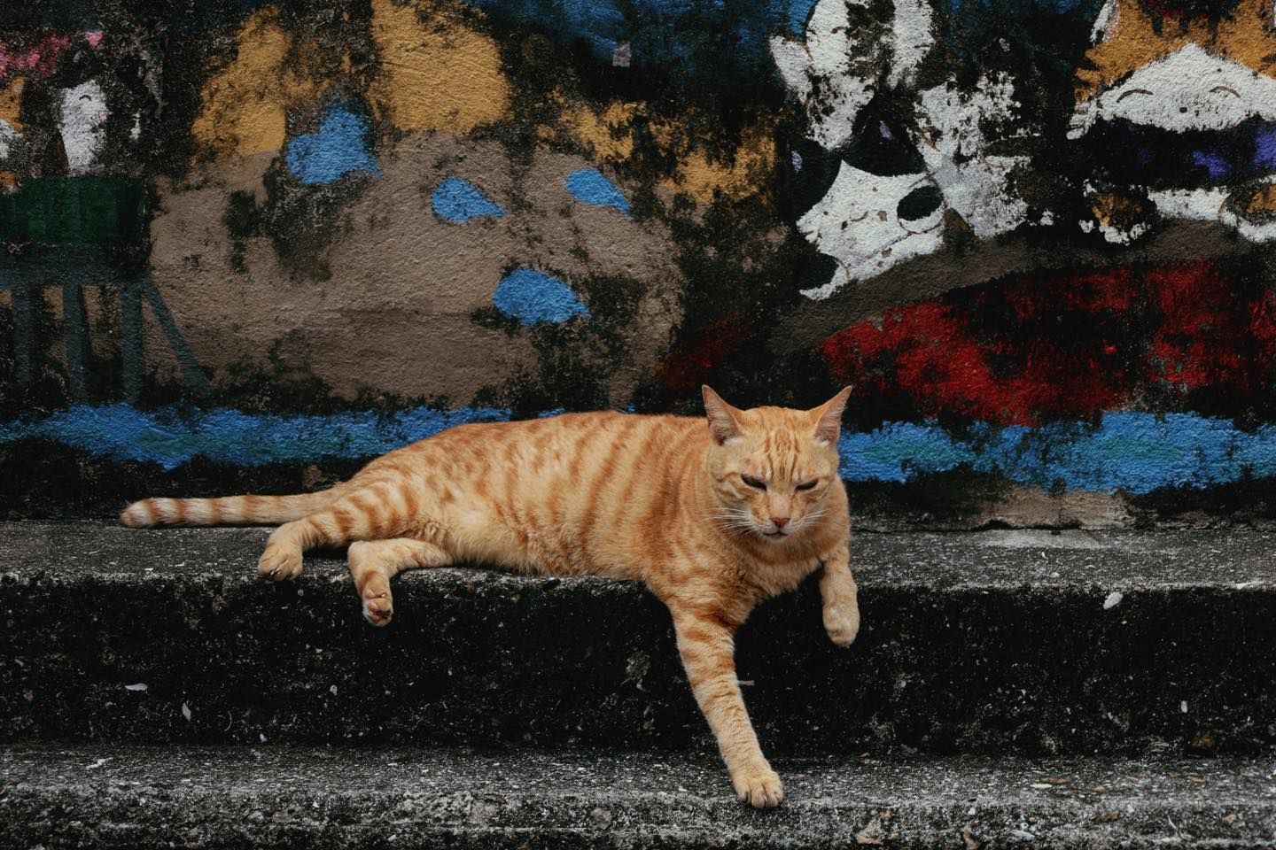 A cat is laying on a set of stairs in front of a wall with graffiti on it