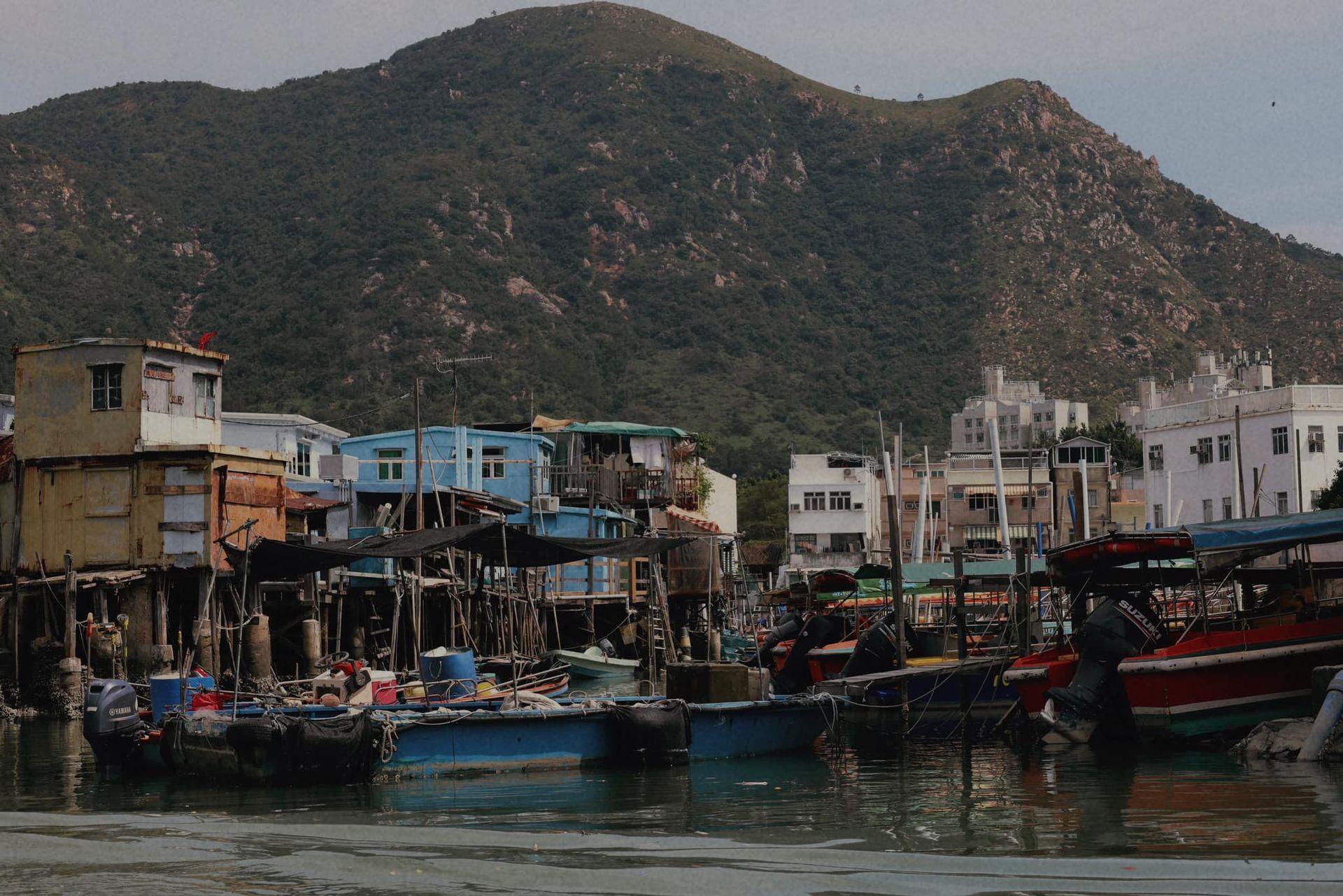 A group of boats are docked in a harbor with mountains in the background