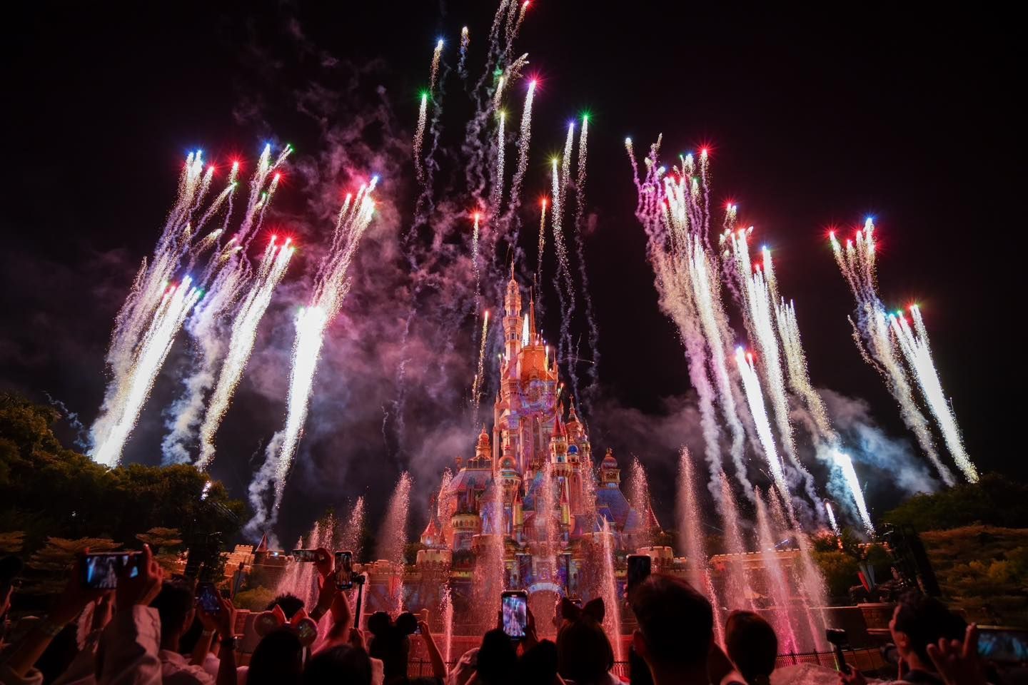 A crowd of people are watching fireworks over a castle.