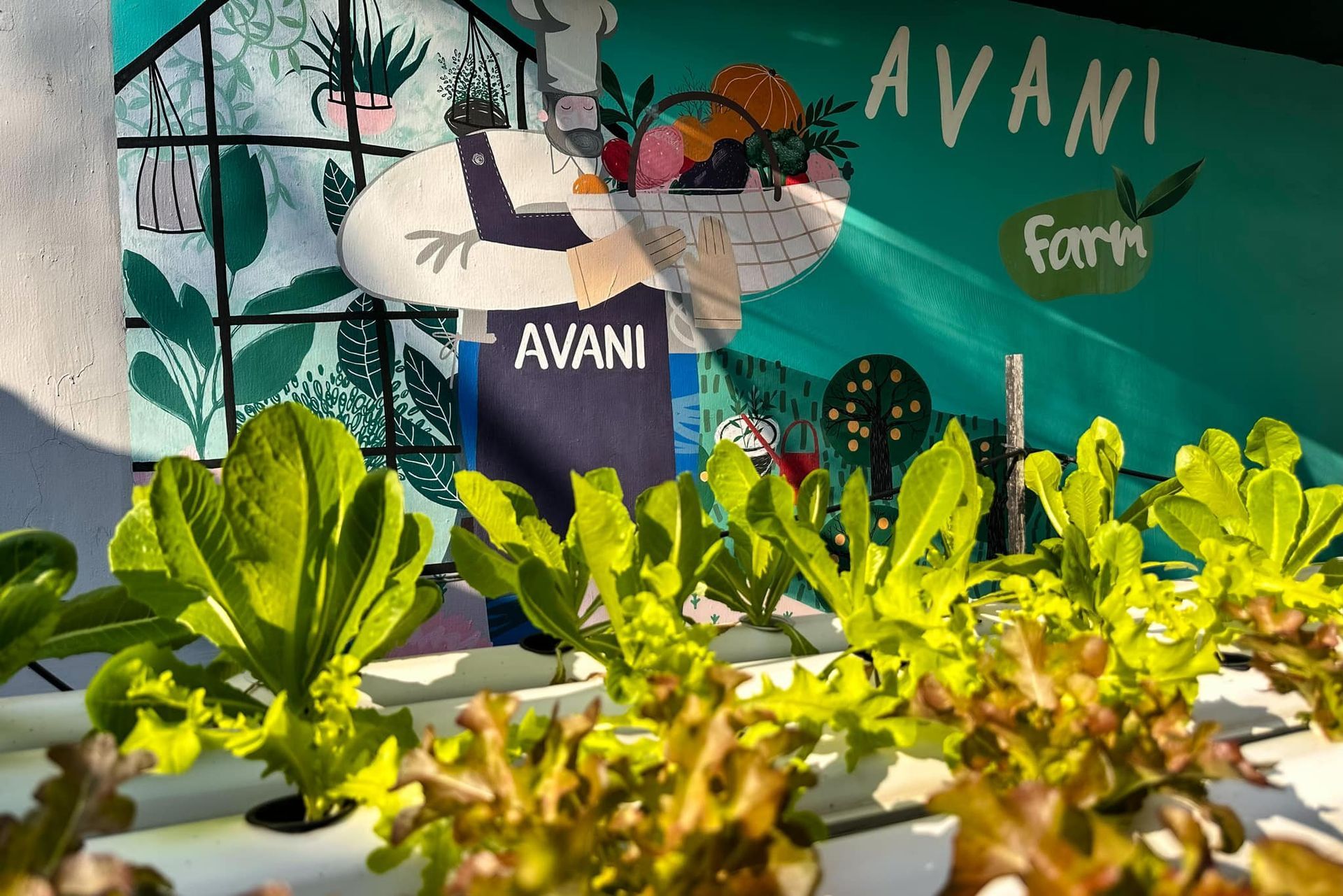 A bunch of plants are growing in front of a sign that says avanti farm