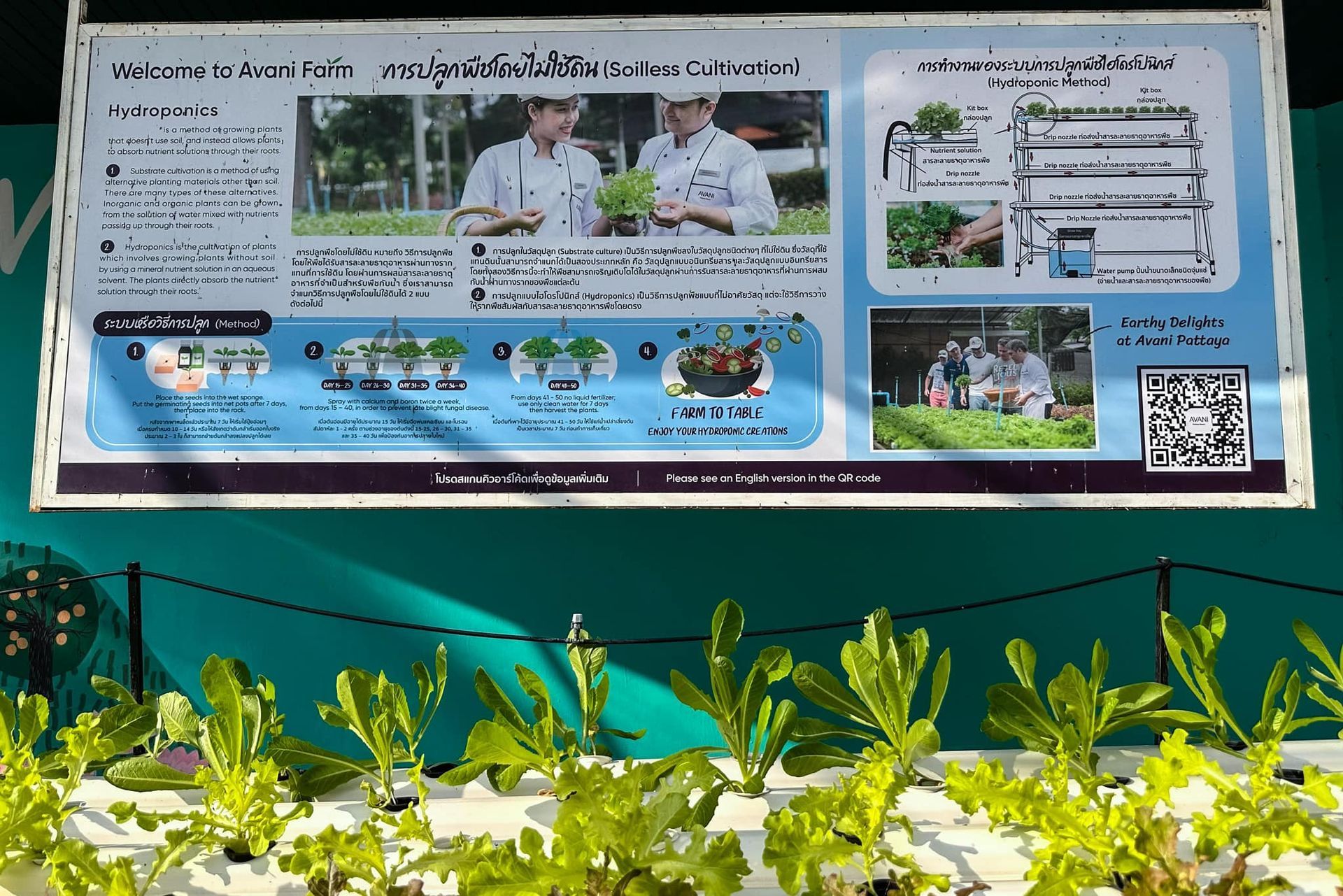 A sign on a wall with a picture of a man holding a plant