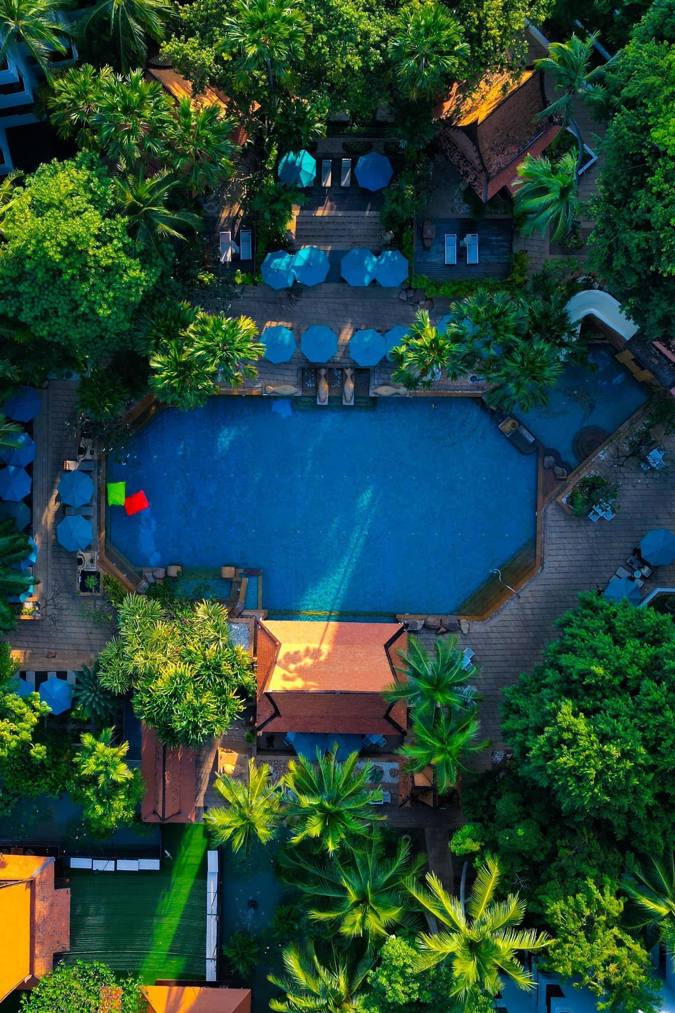 An aerial view of a swimming pool surrounded by trees and umbrellas.