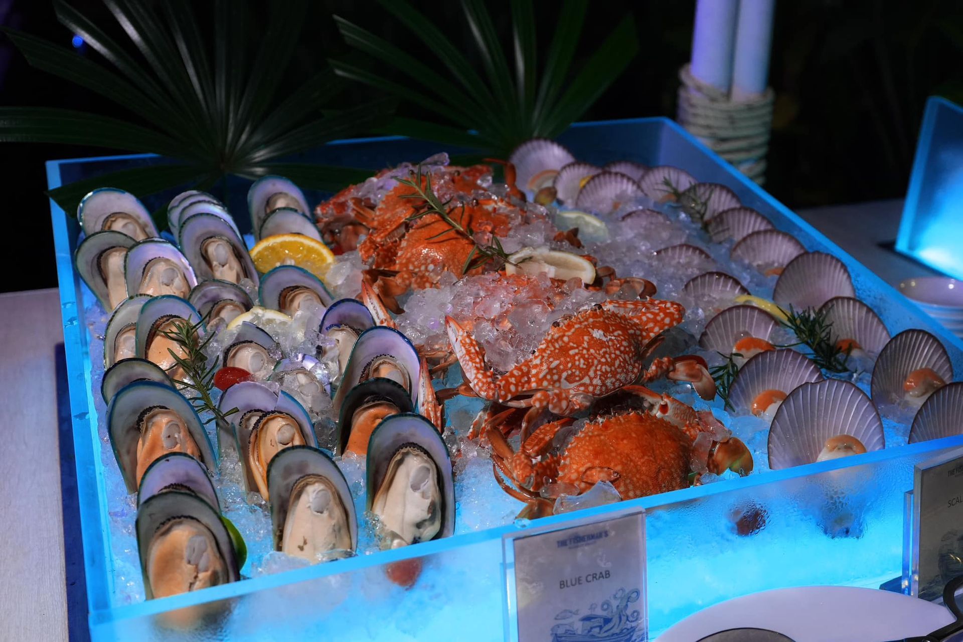 A variety of seafood is displayed on ice in a clear container.