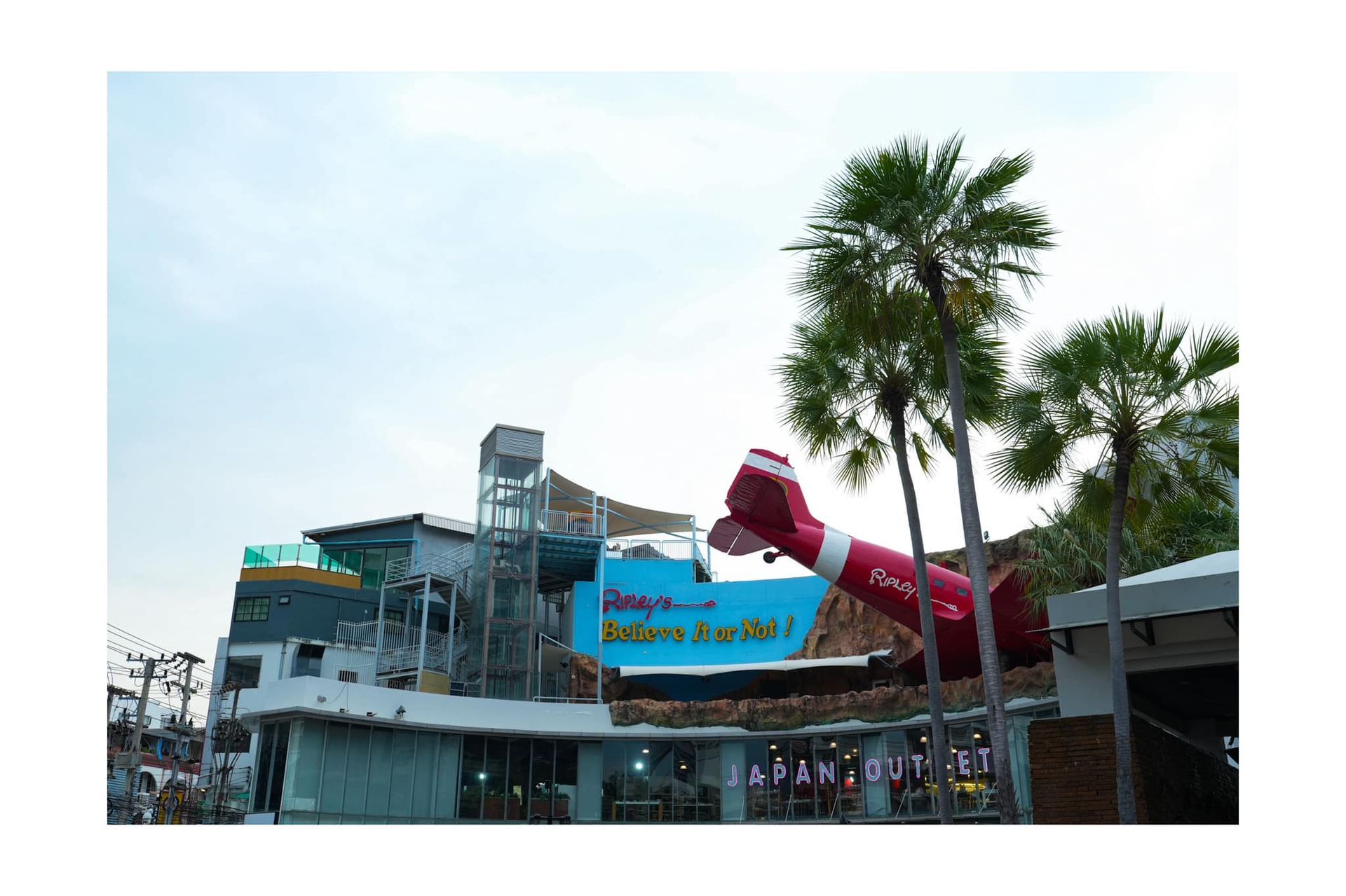 A water slide is surrounded by palm trees in front of a building.