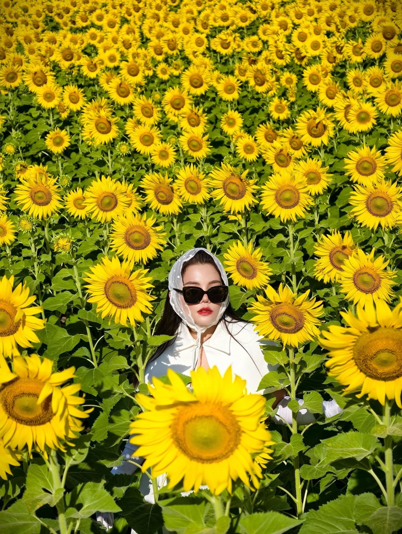 A woman is standing in a field of sunflowers.