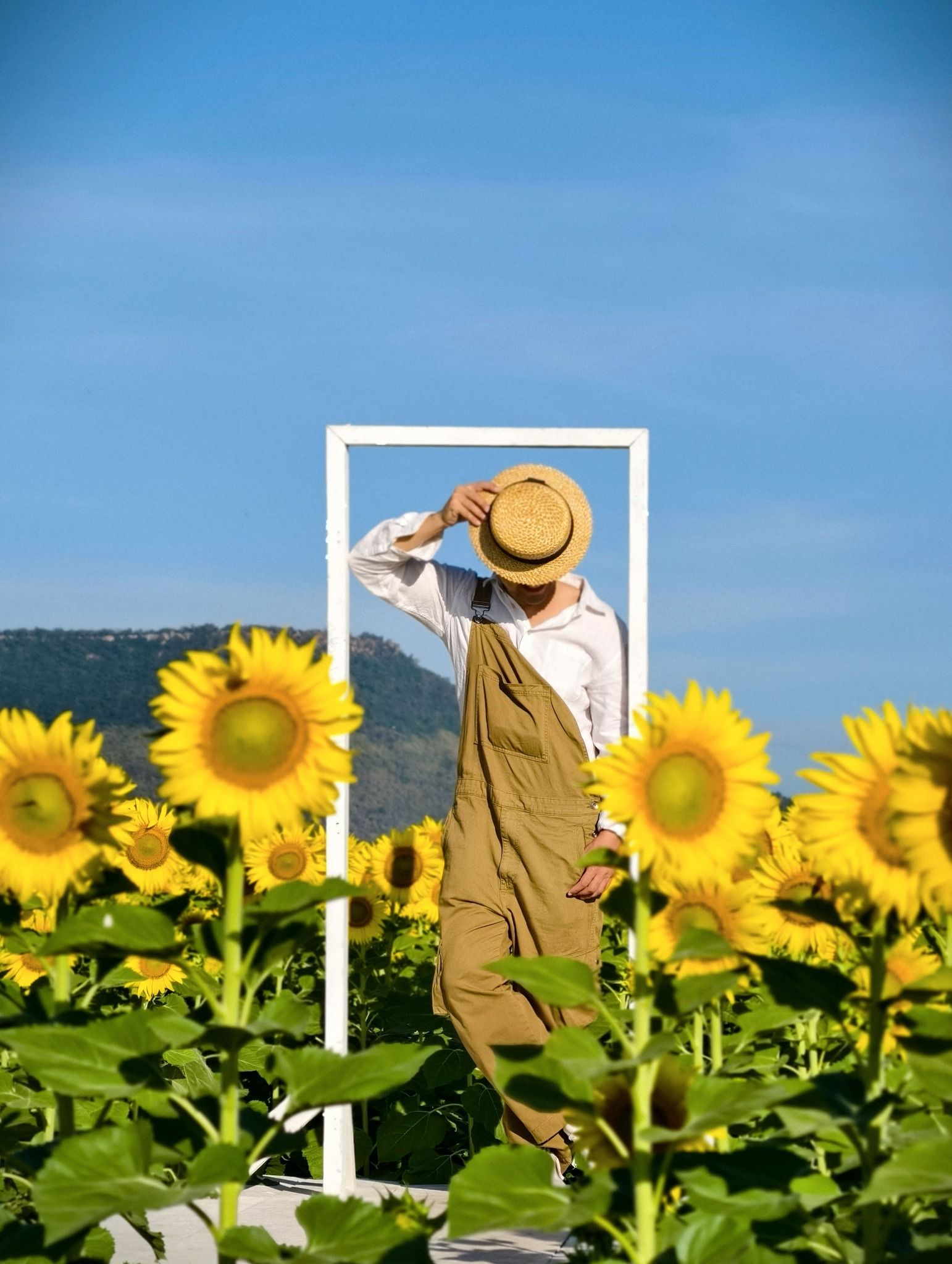 A woman in a straw hat is standing in a field of sunflowers.