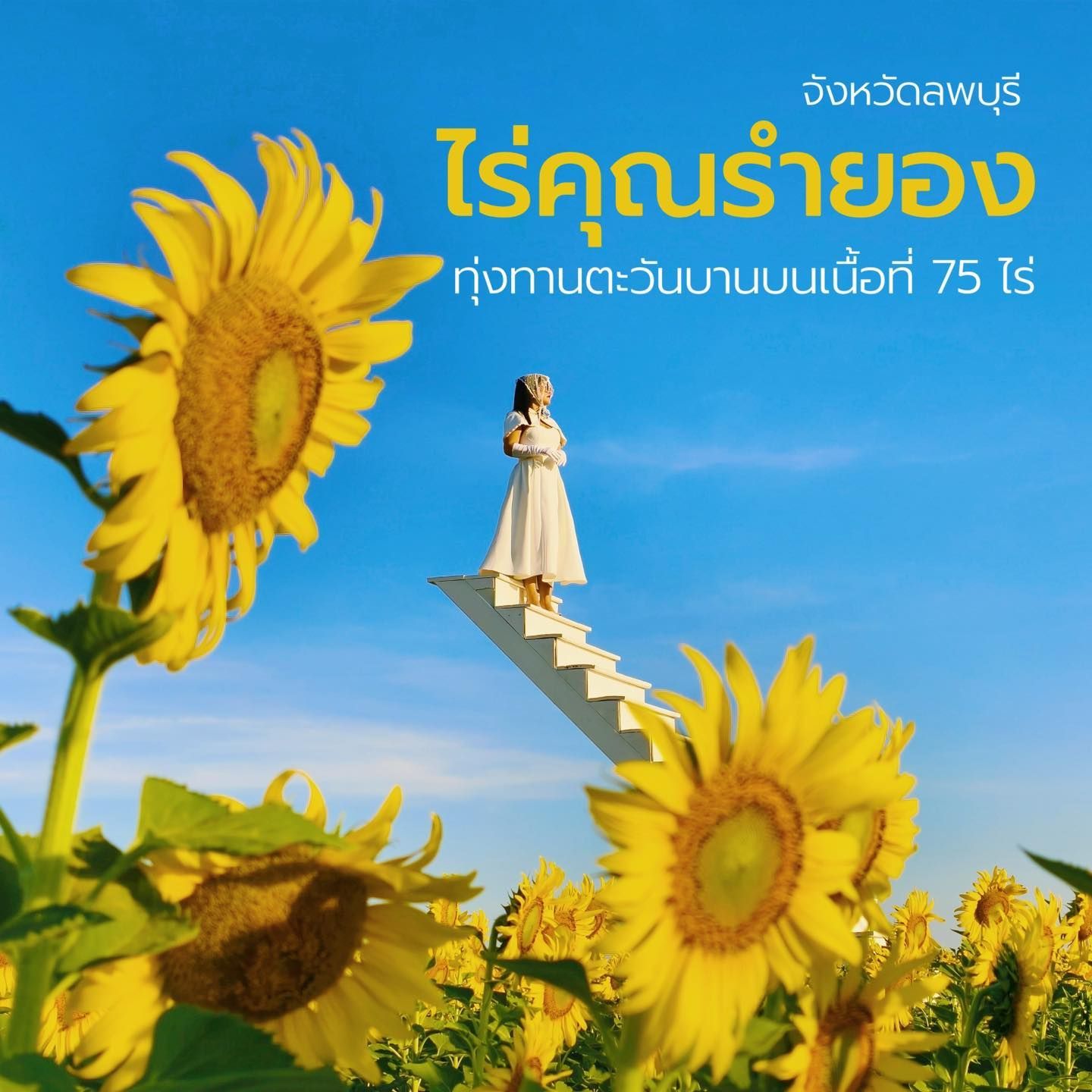 A woman is standing on a set of stairs in a field of sunflowers