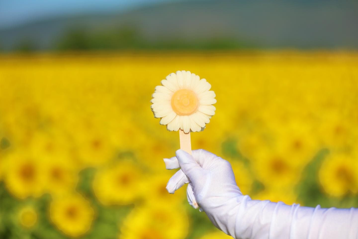 A person is holding a 3D ice-cream in the shape of a flower in front of a field of sunflowers.