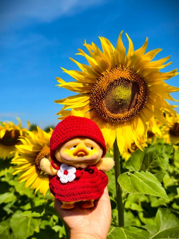 A person is holding a stuffed duck in front of a sunflower field.