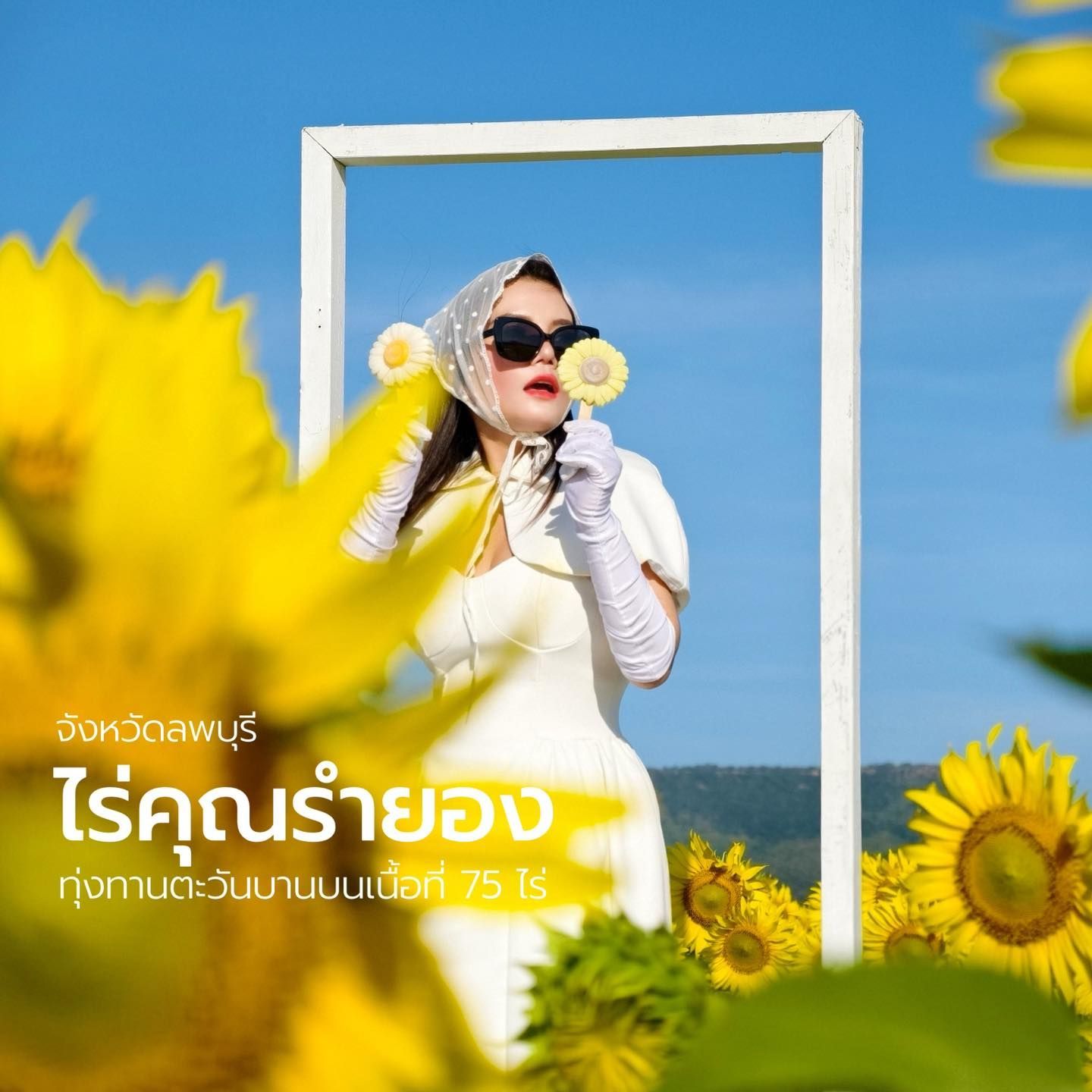 A woman in a white dress is standing in a field of sunflowers.