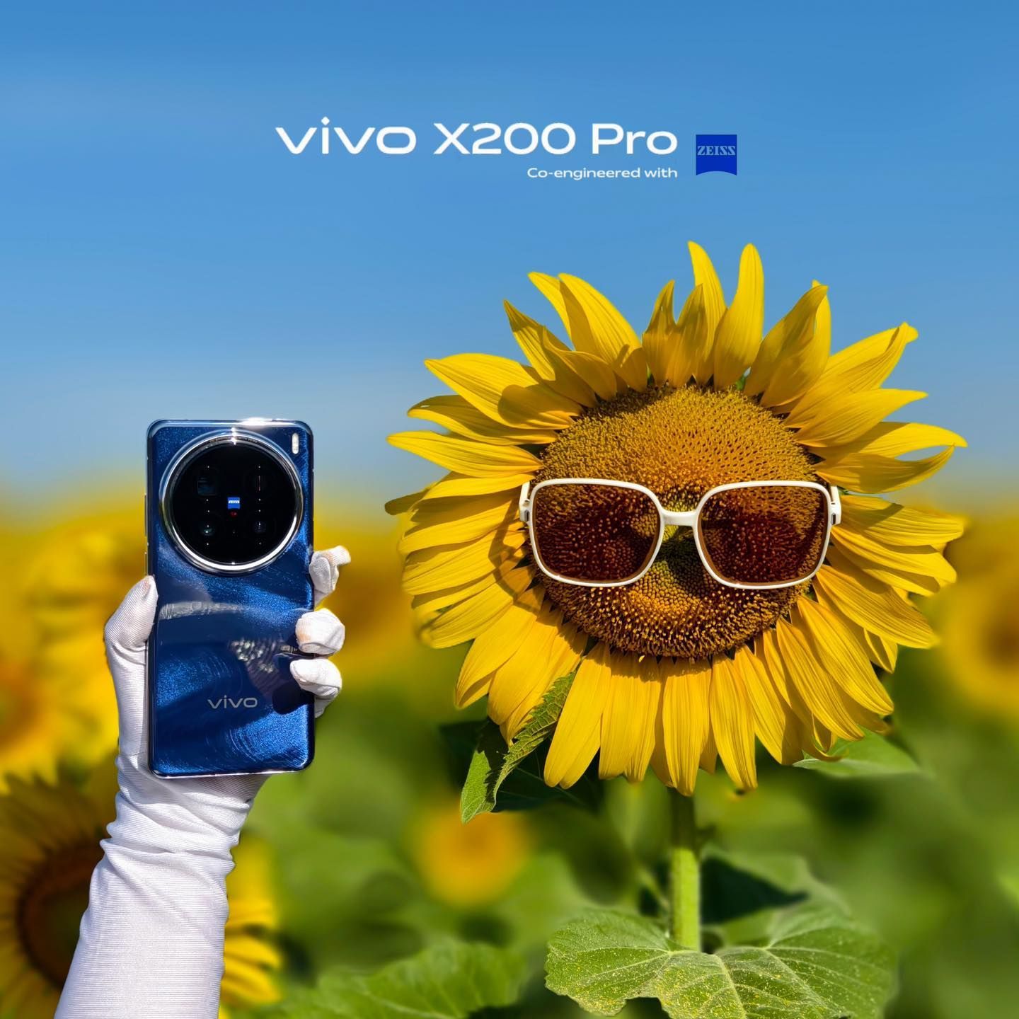 A person is holding a phone in front of a sunflower wearing sunglasses