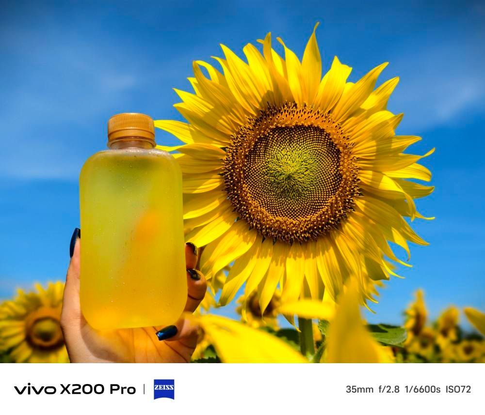 A person is holding a bottle of yellow liquid in front of a sunflower.