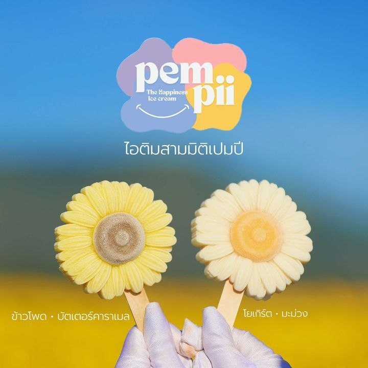 A person is holding two ice cream sunflowers