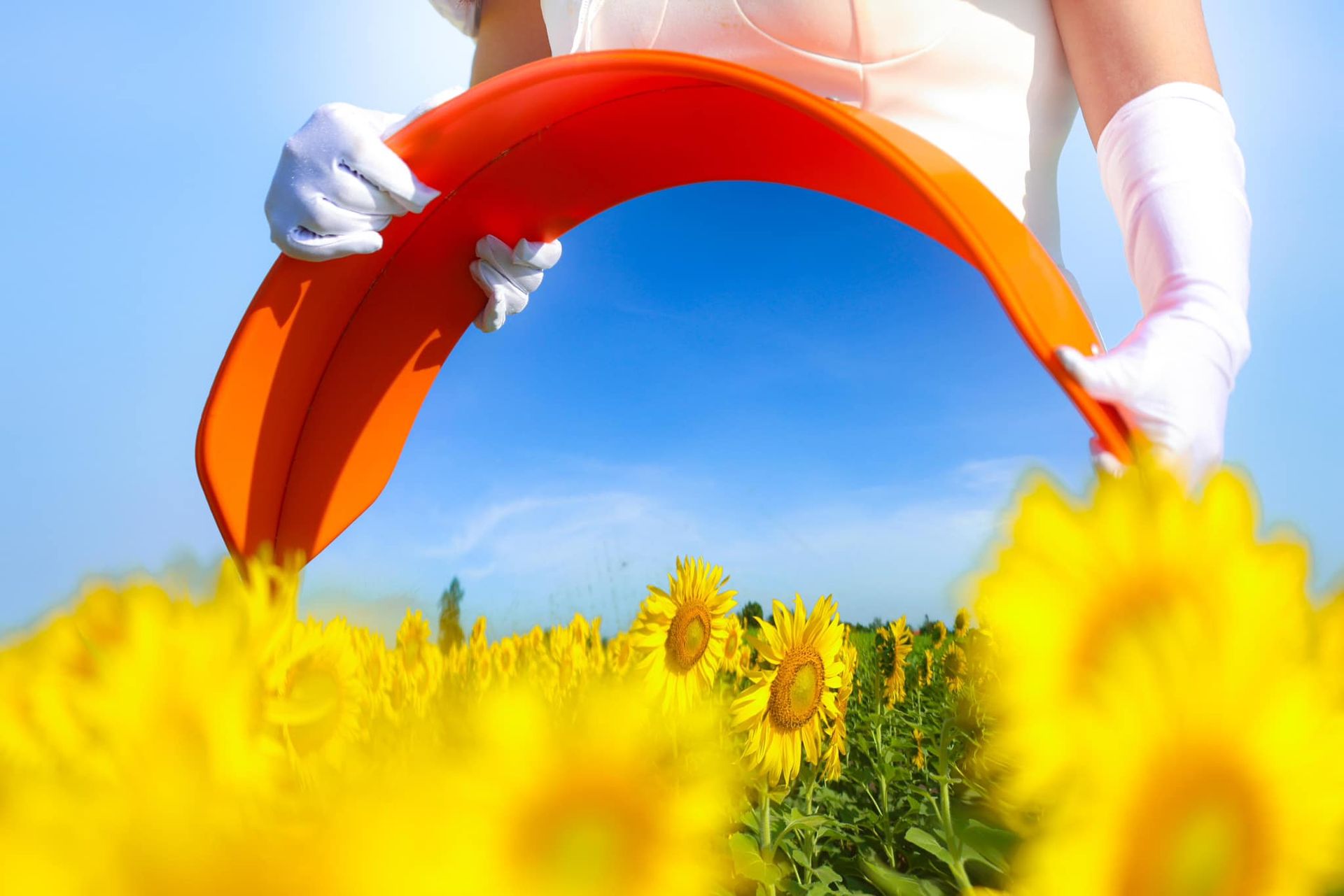 A woman in a white dress and white gloves is holding an orange object in a field of sunflowers.