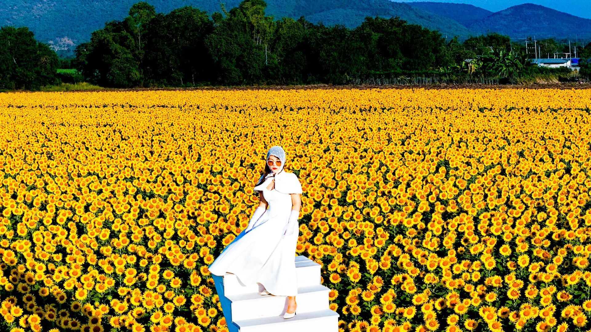 A woman in a white dress is standing on a set of stairs in a field of sunflowers.