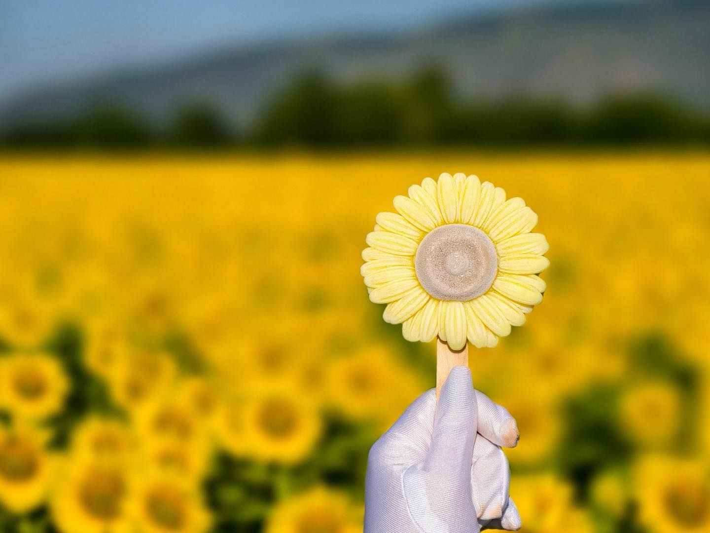 A person is holding an ice cream in the shape of a sunflower in front of a field of sunflowers.