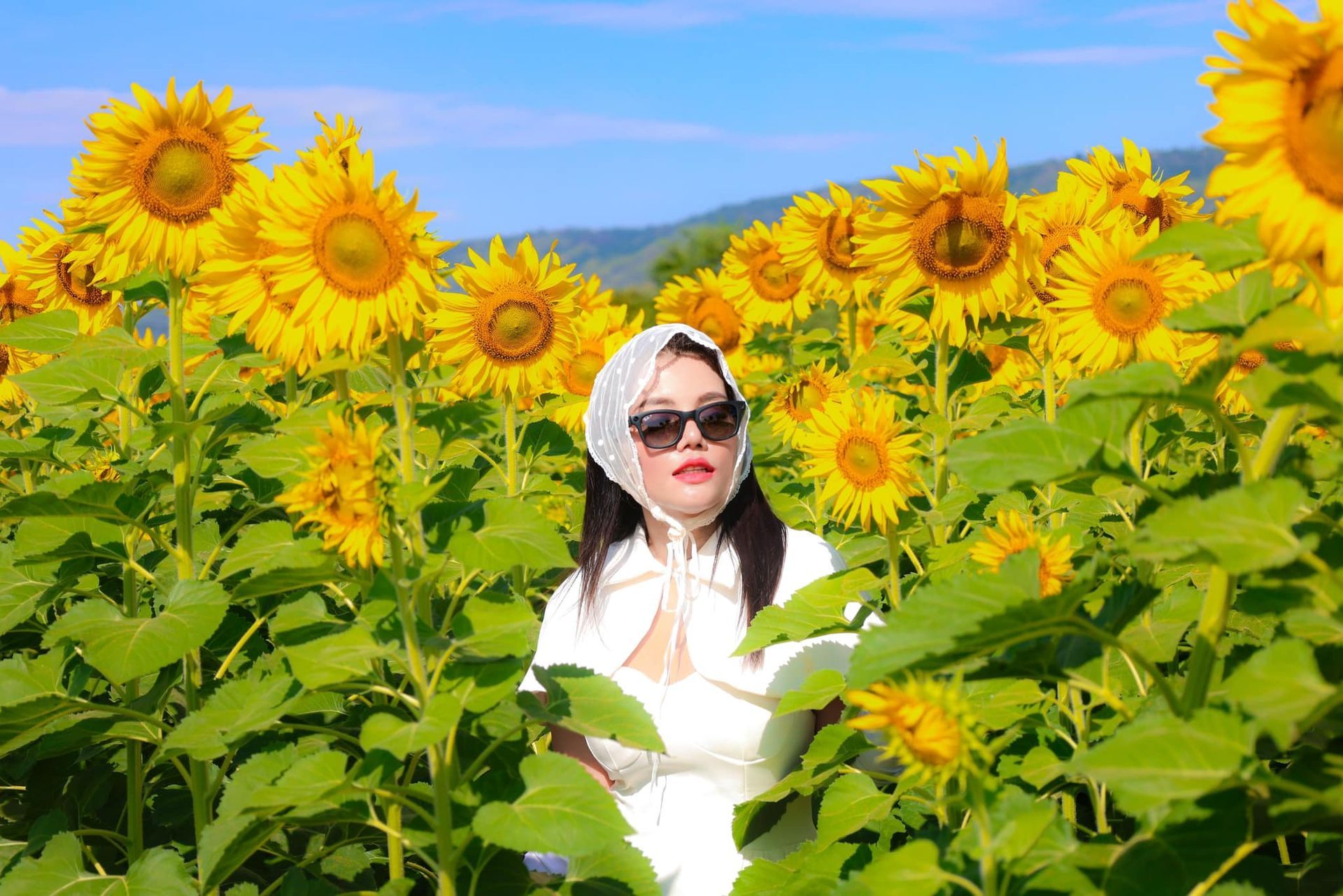A woman in a white dress is standing in a field of sunflowers.