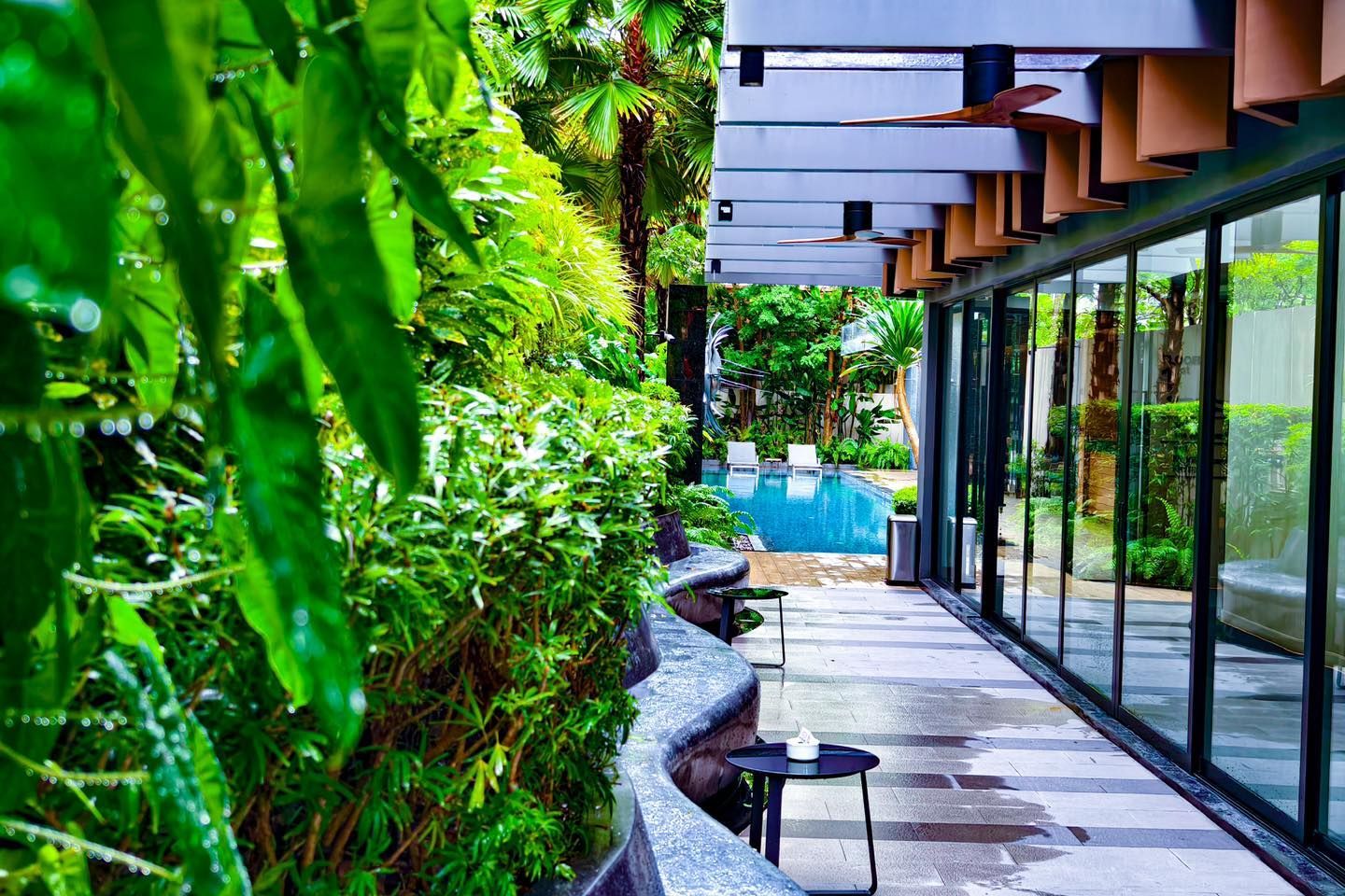A long walkway leading to a swimming pool surrounded by trees.