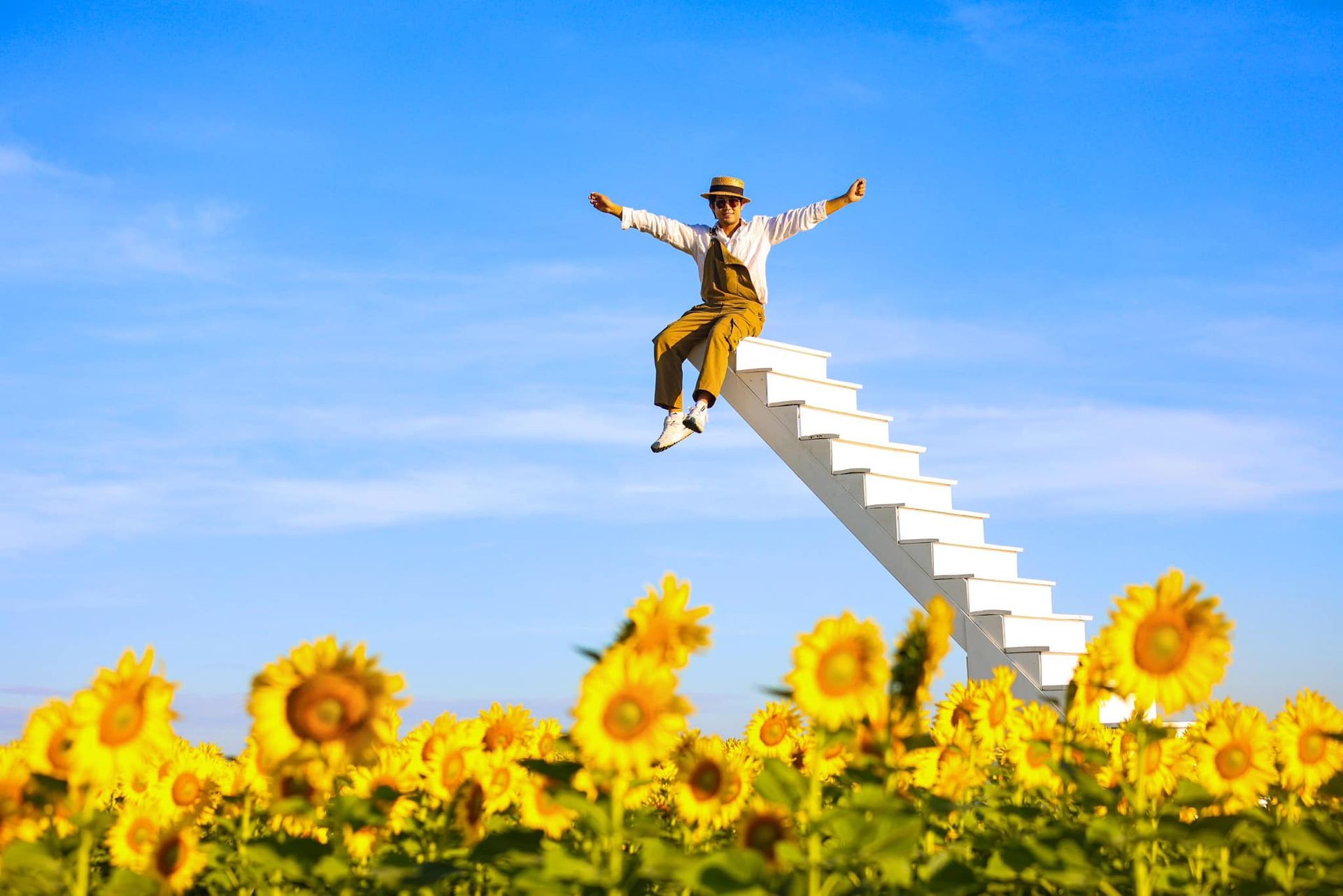 A man is sitting on top of a white staircase in a field of sunflowers.