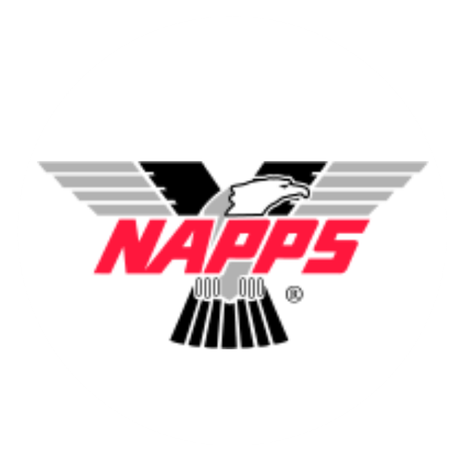 A logo for napps with an eagle on it.