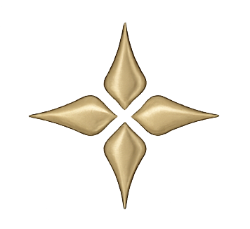 Gold four-point star-like emblem on a white background