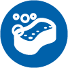 auto detailing icon