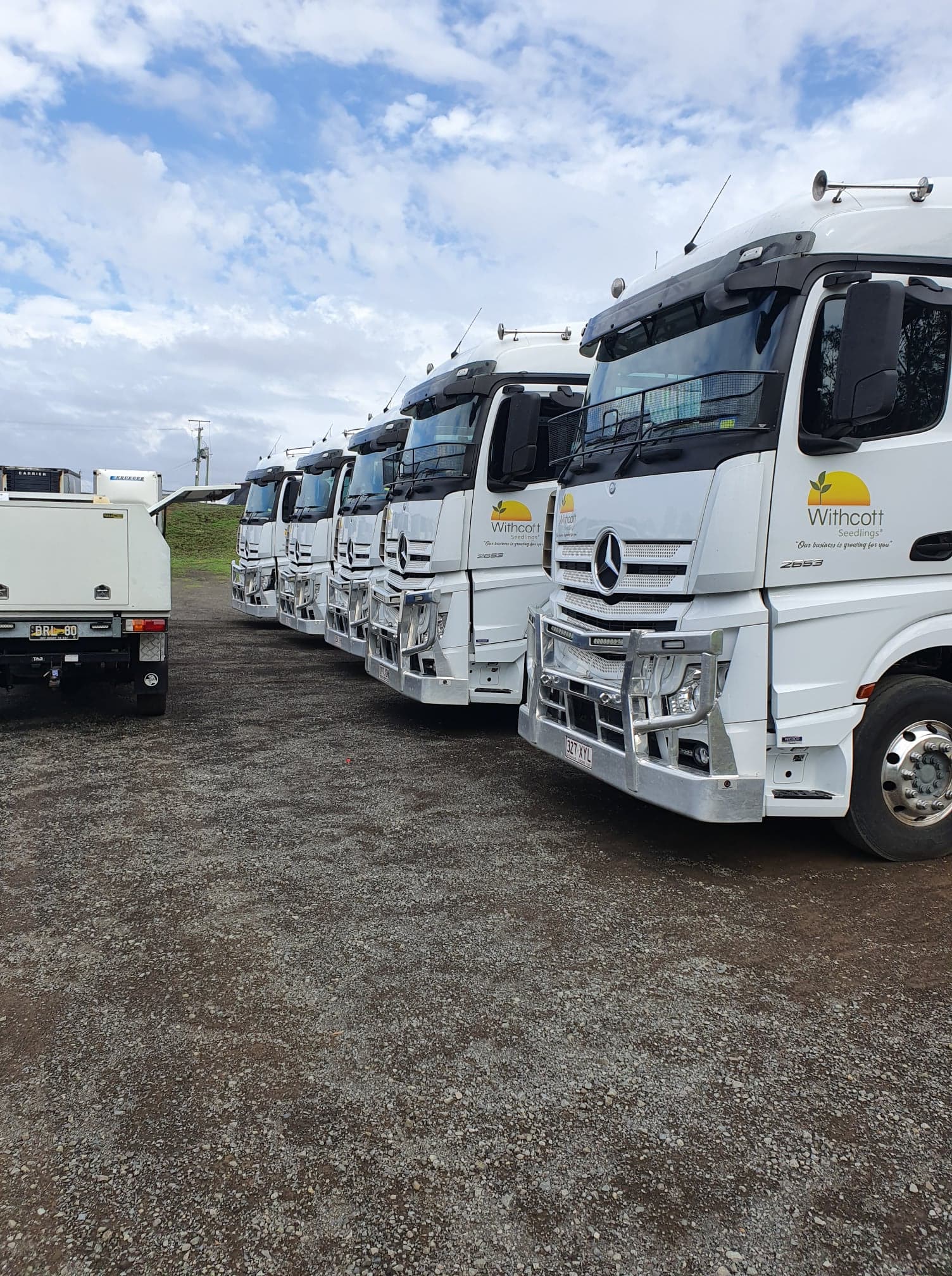 Commercial Delivery Vans In Row At Parking - Frontier Fleet In Toowoomba, QLD