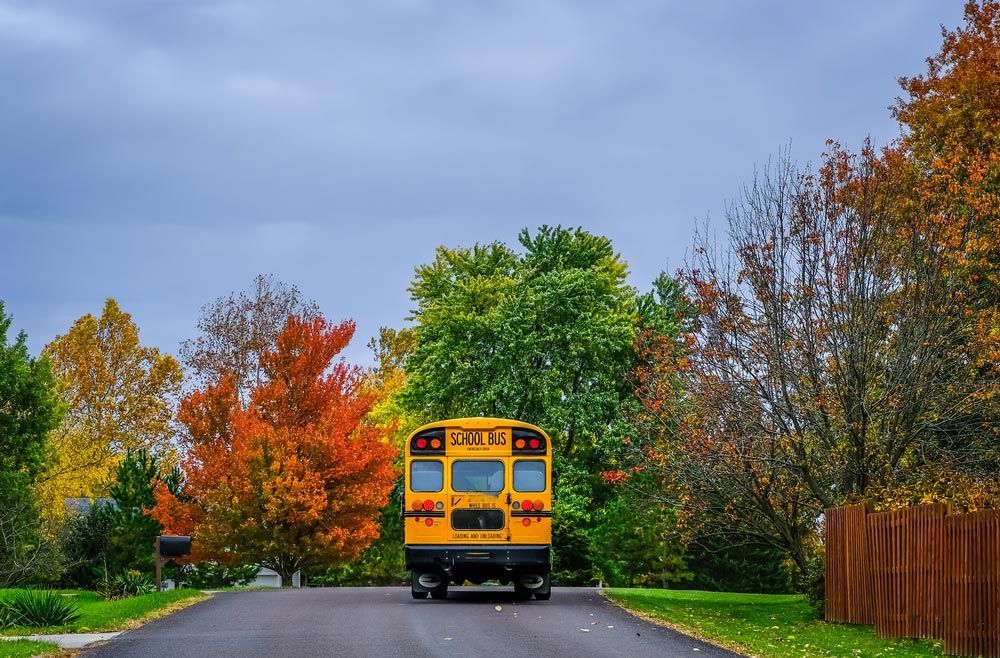 School Bus On The Road