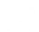 NAA Logo