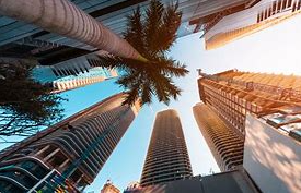 Palm tree and skyscrapers against a blue sky, viewed from below.